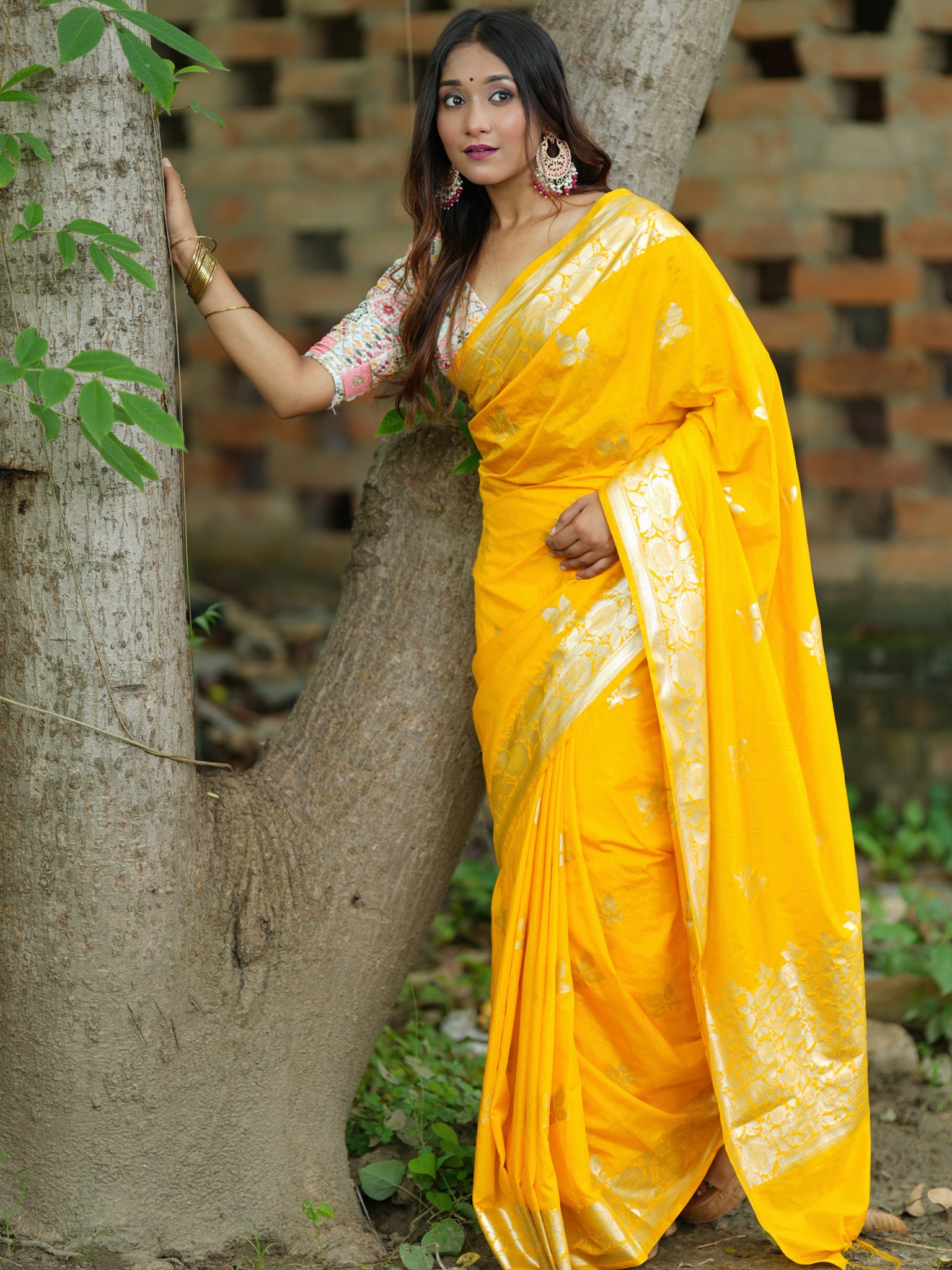 Banarasi Cotton Silk Saree Silver Zari Weaving With Border-Yellow