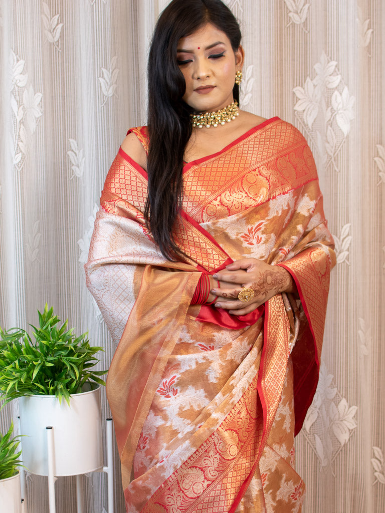 Banarasi Tissue Silver Zari Weaving Saree With Contrast Skirt Border