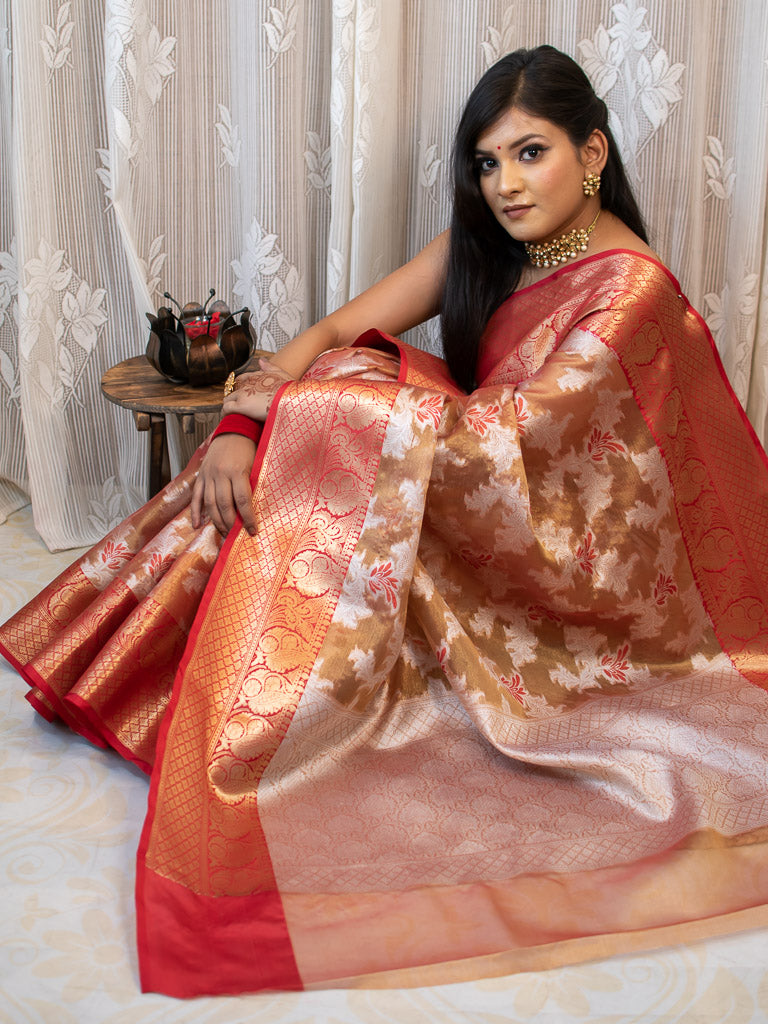 Banarasi Tissue Silver Zari Weaving Saree With Contrast Skirt Border