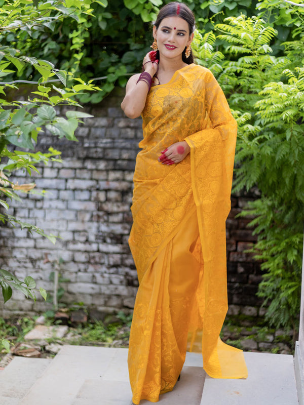Banarasi Soft Net Saree With Self Resham Weaving Design-Yellow