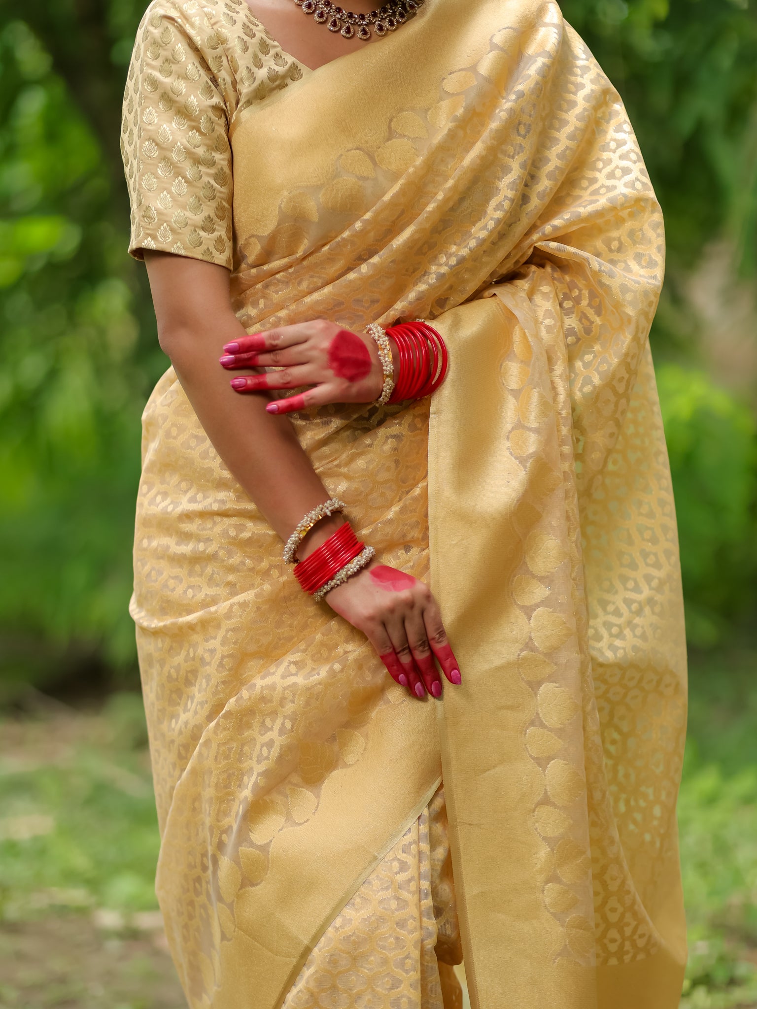 Banarasi Tissue Saree With Border - Golden