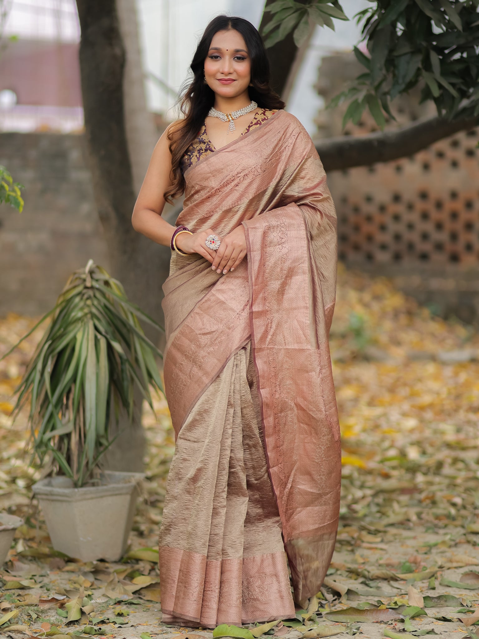 Banarasi Crushed Tissue Saree With Zari Border- Brown