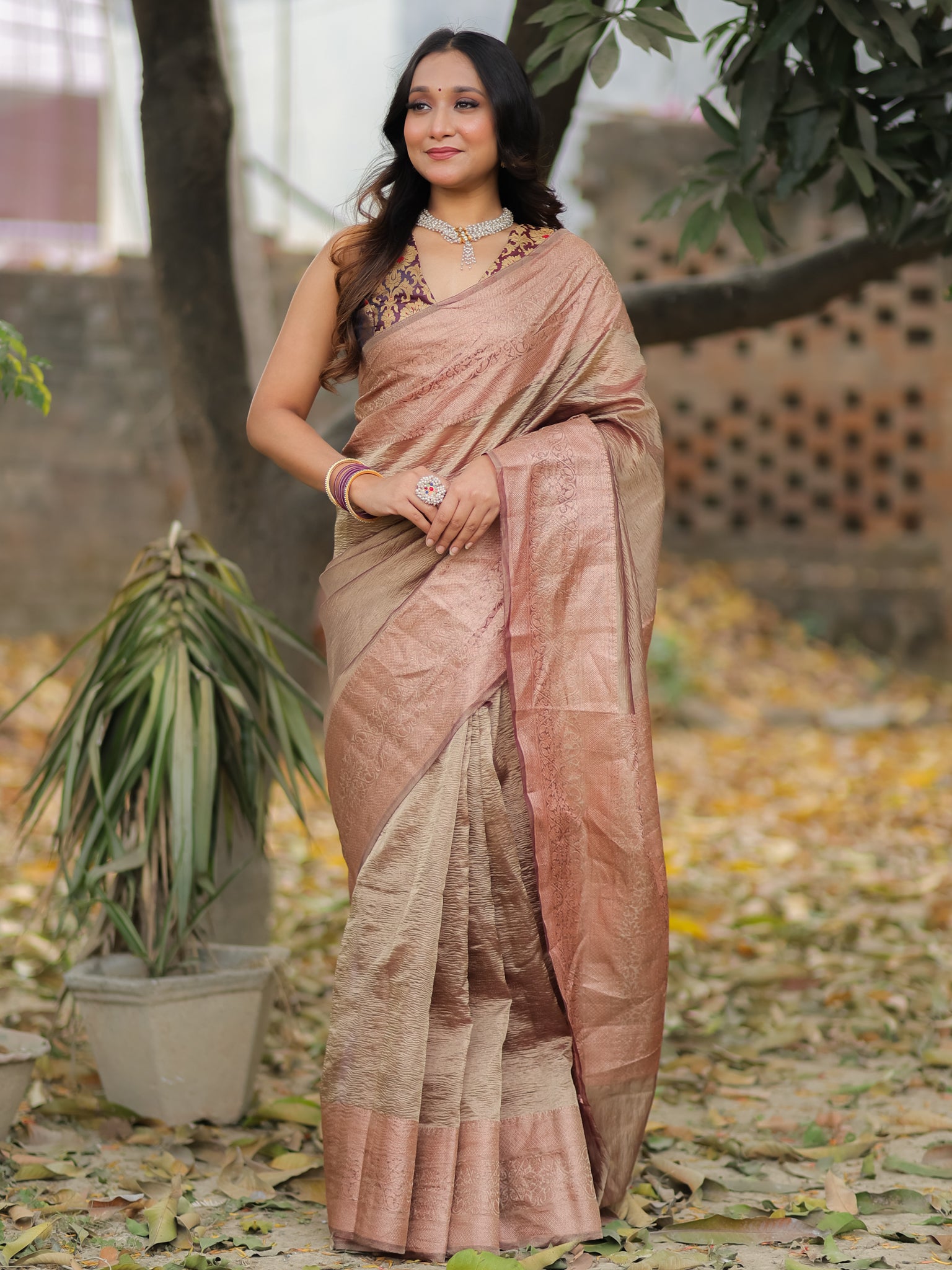 Banarasi Crushed Tissue Saree With Zari Border- Brown