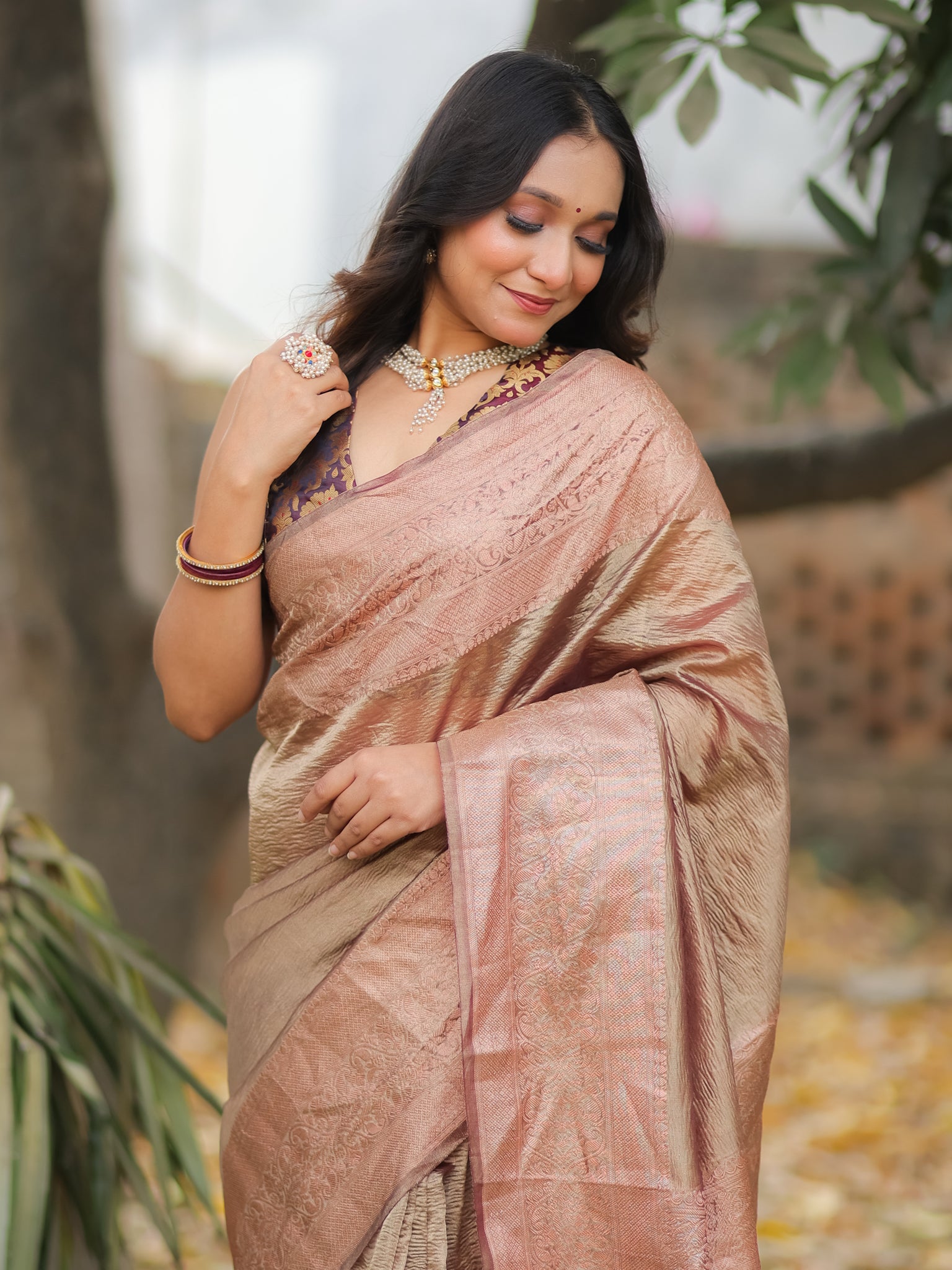 Banarasi Crushed Tissue Saree With Zari Border- Brown