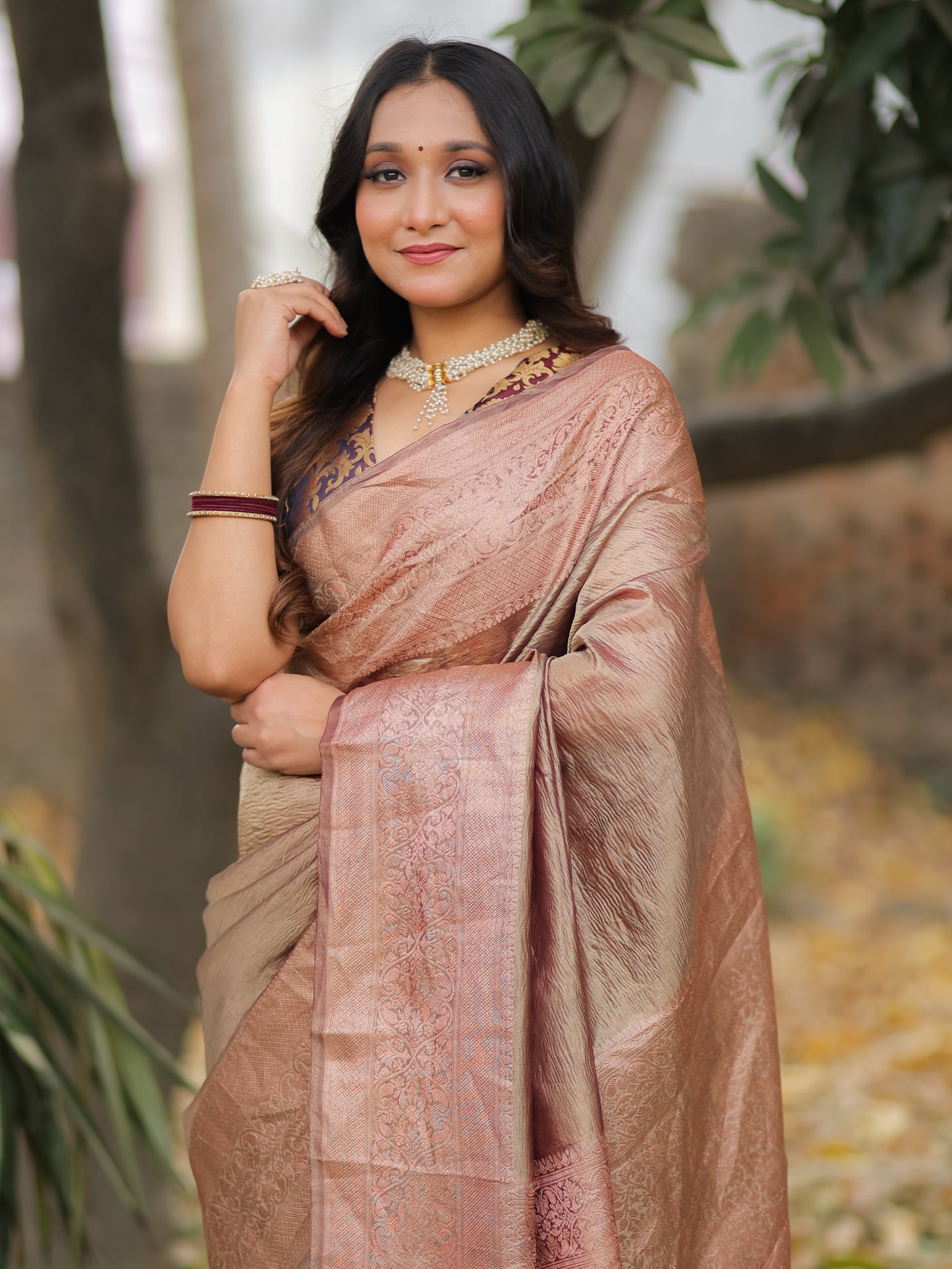 Banarasi Crushed Tissue Saree With Zari Border- Brown