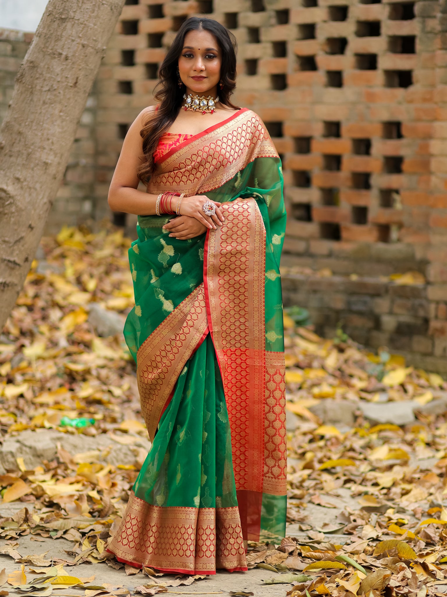 Banarasi Organza Saree With Contrast Border - Green