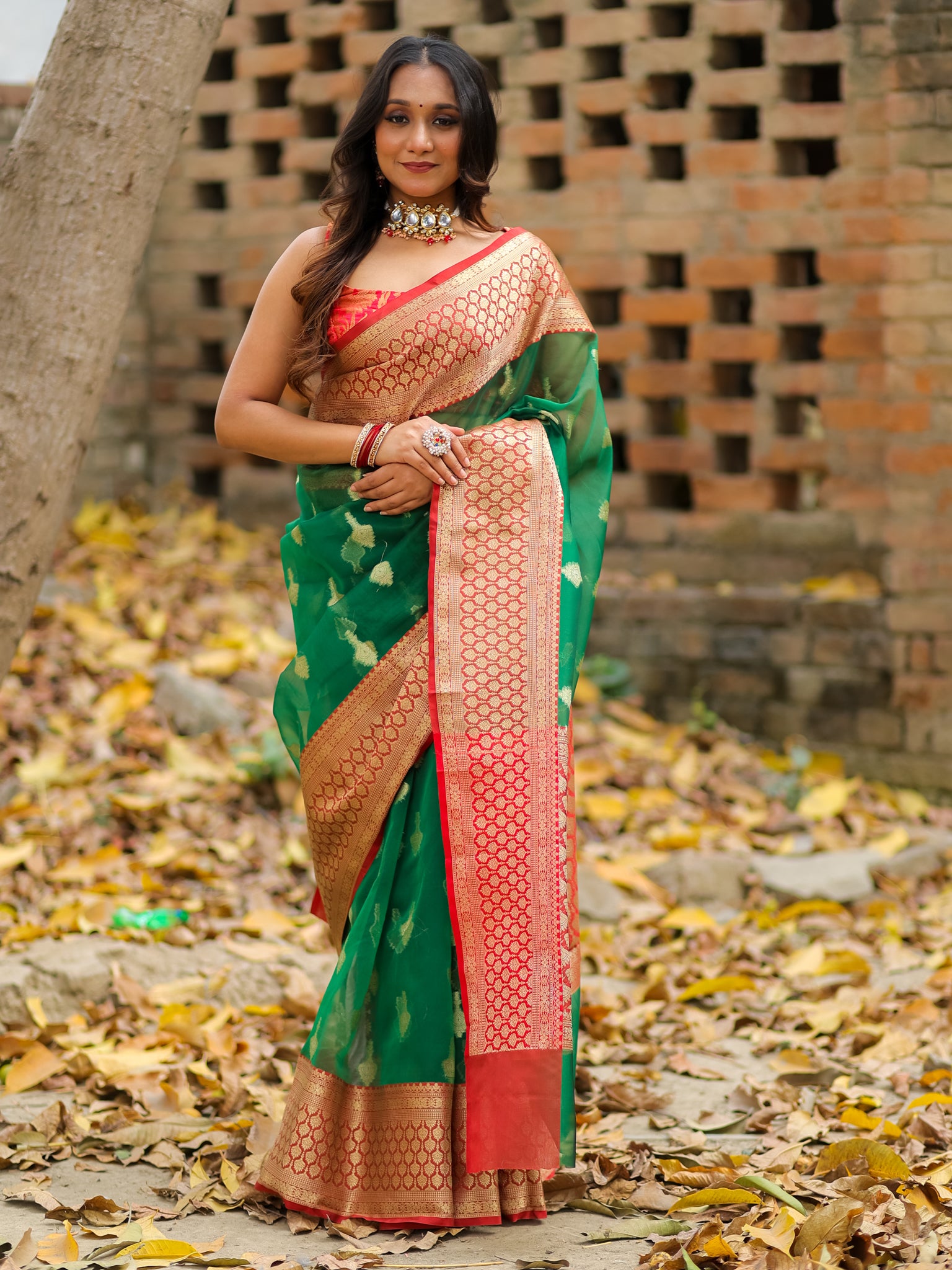 Banarasi Organza Saree With Contrast Border - Green