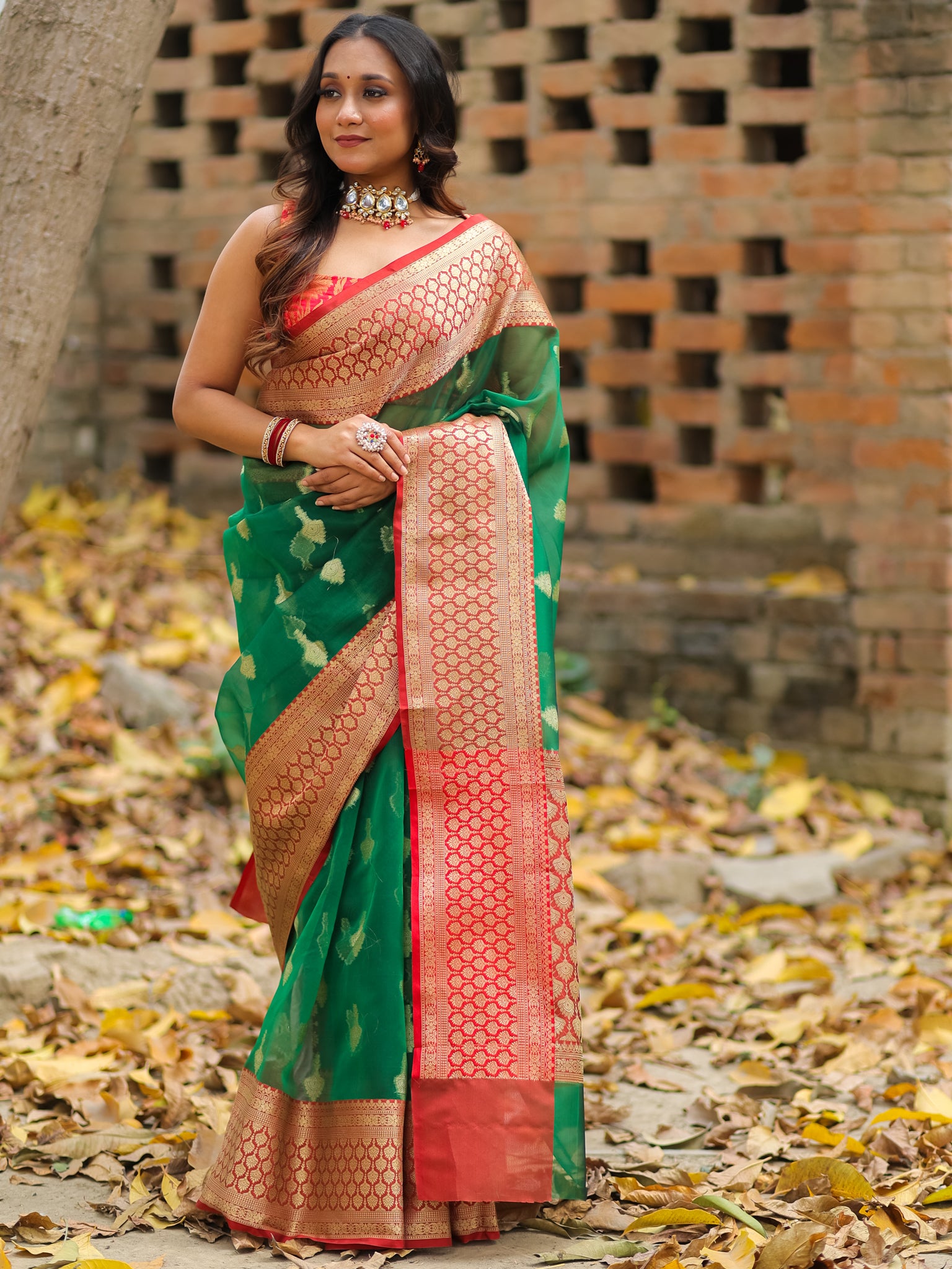 Banarasi Organza Saree With Contrast Border - Green