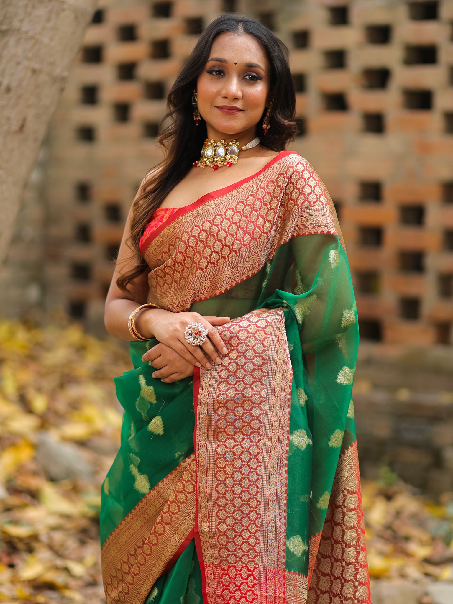 Banarasi Organza Saree With Contrast Border - Green