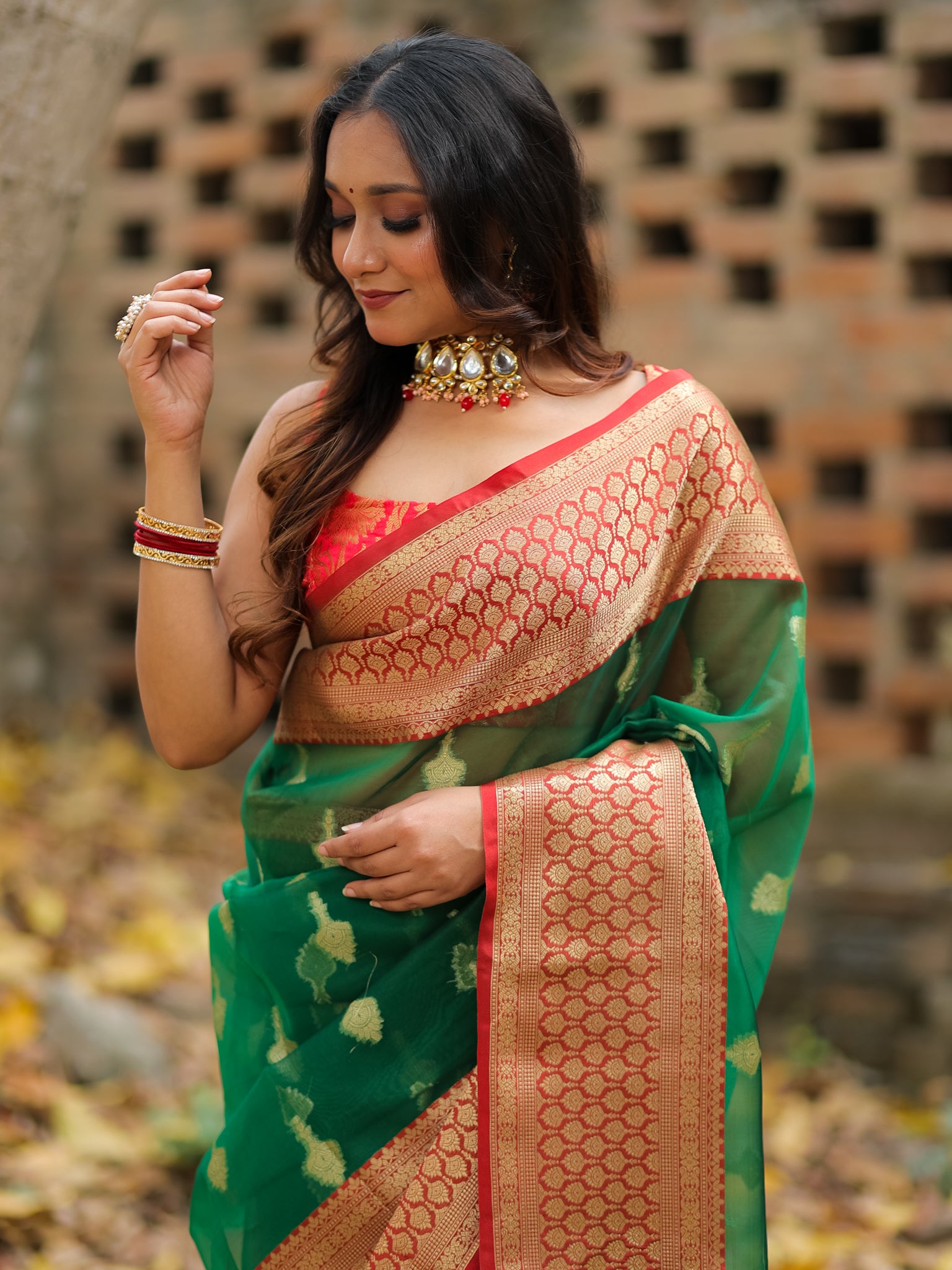 Banarasi Organza Saree With Contrast Border - Green