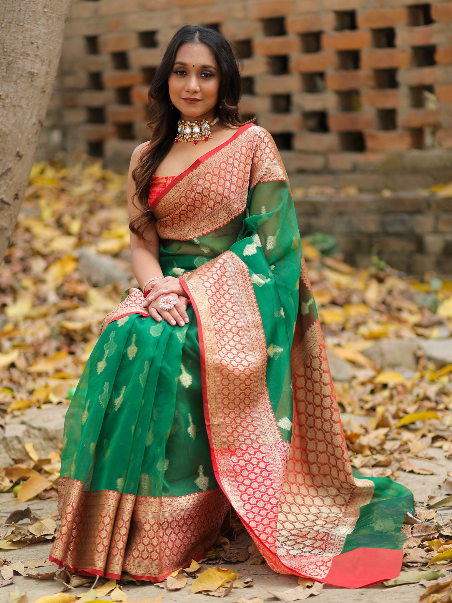 Banarasi Organza Saree With Contrast Border - Green