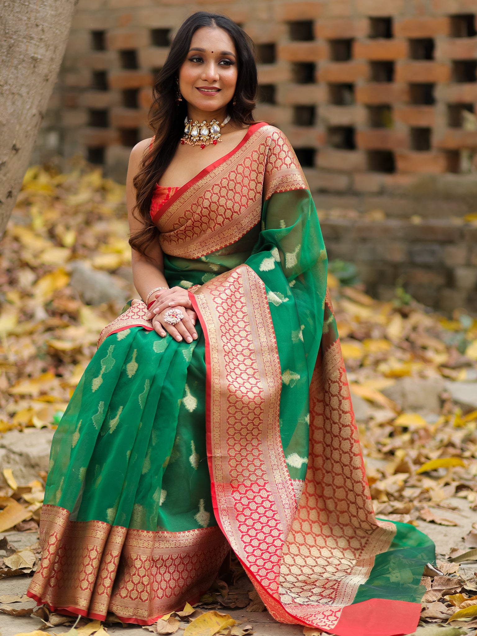 Banarasi Organza Saree With Contrast Border - Green