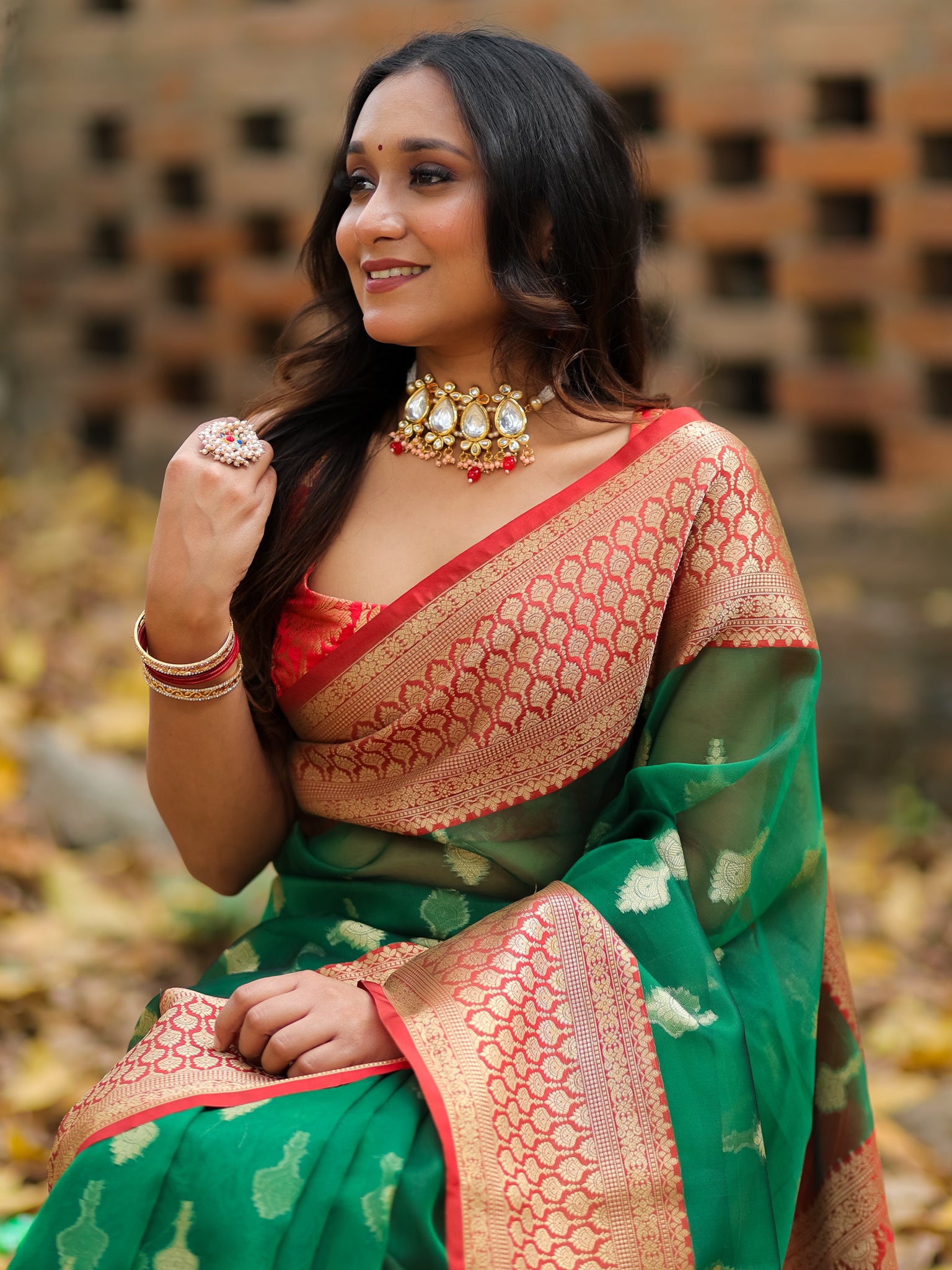 Banarasi Organza Saree With Contrast Border - Green