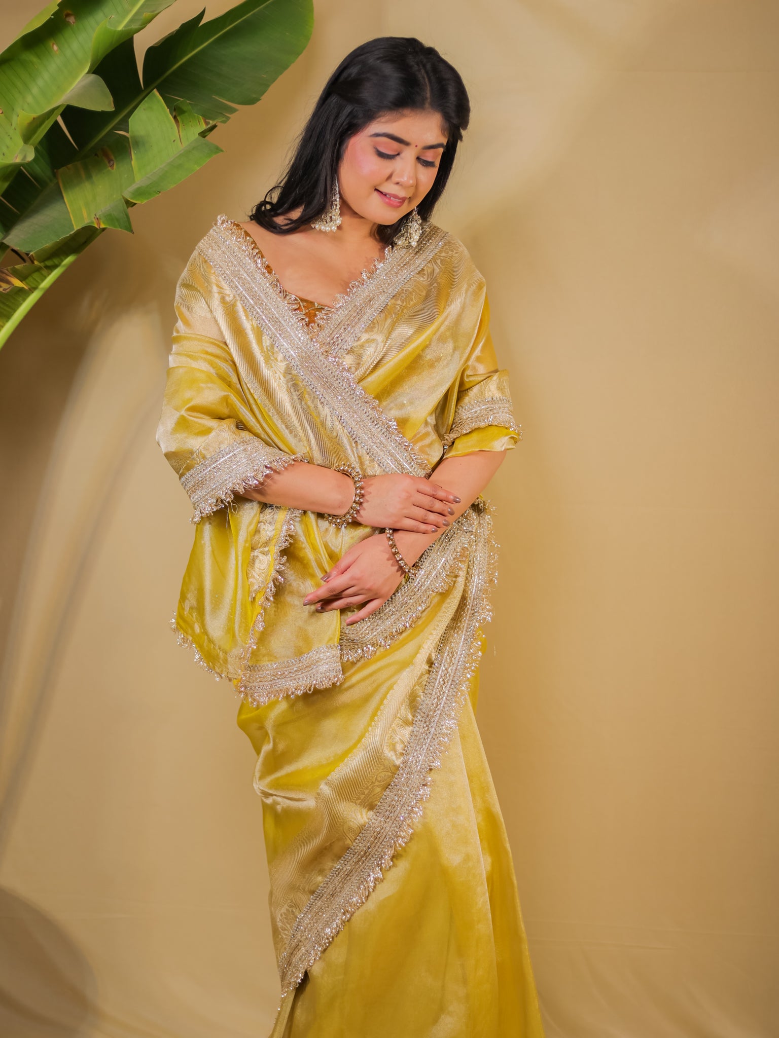 Banarasi Tissue Saree With Lace Border - Golden