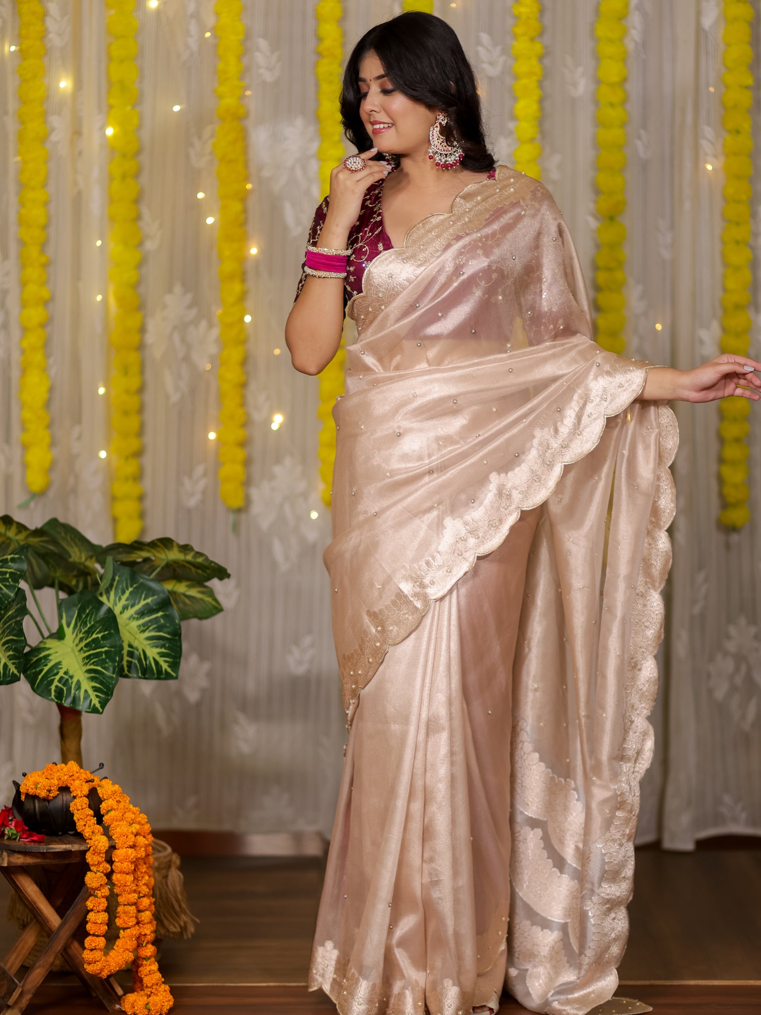 Banarasi Tissue Saree With Scallop Border - Beige