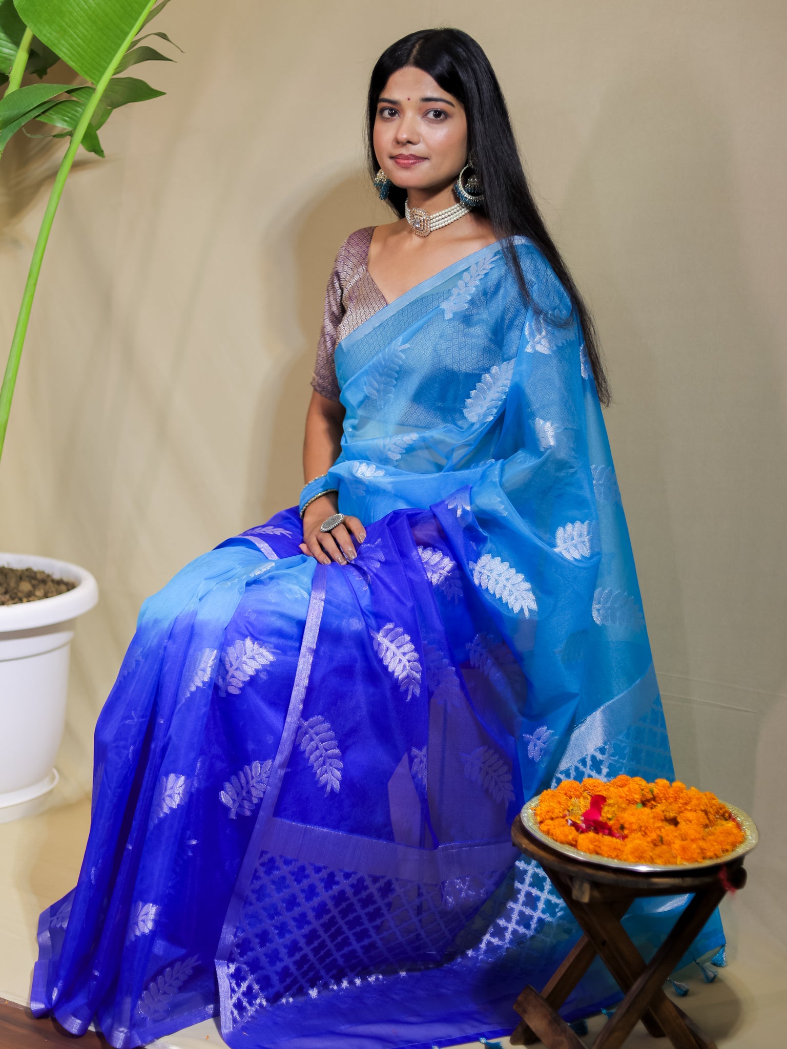 Banarasi Organza Dual Shade Saree With Zari Border- Blue & White