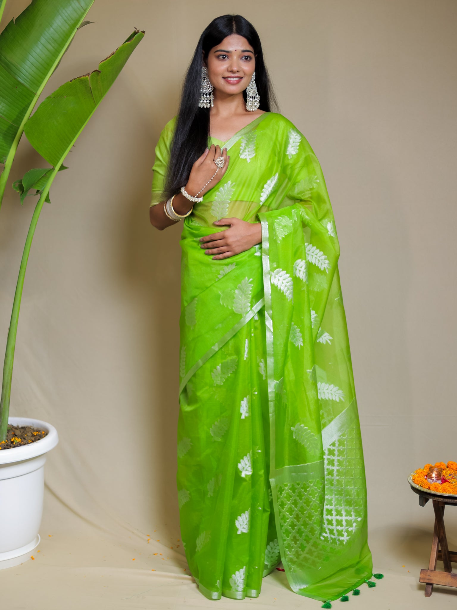 Banarasi Organza Saree With Zari Border- Green