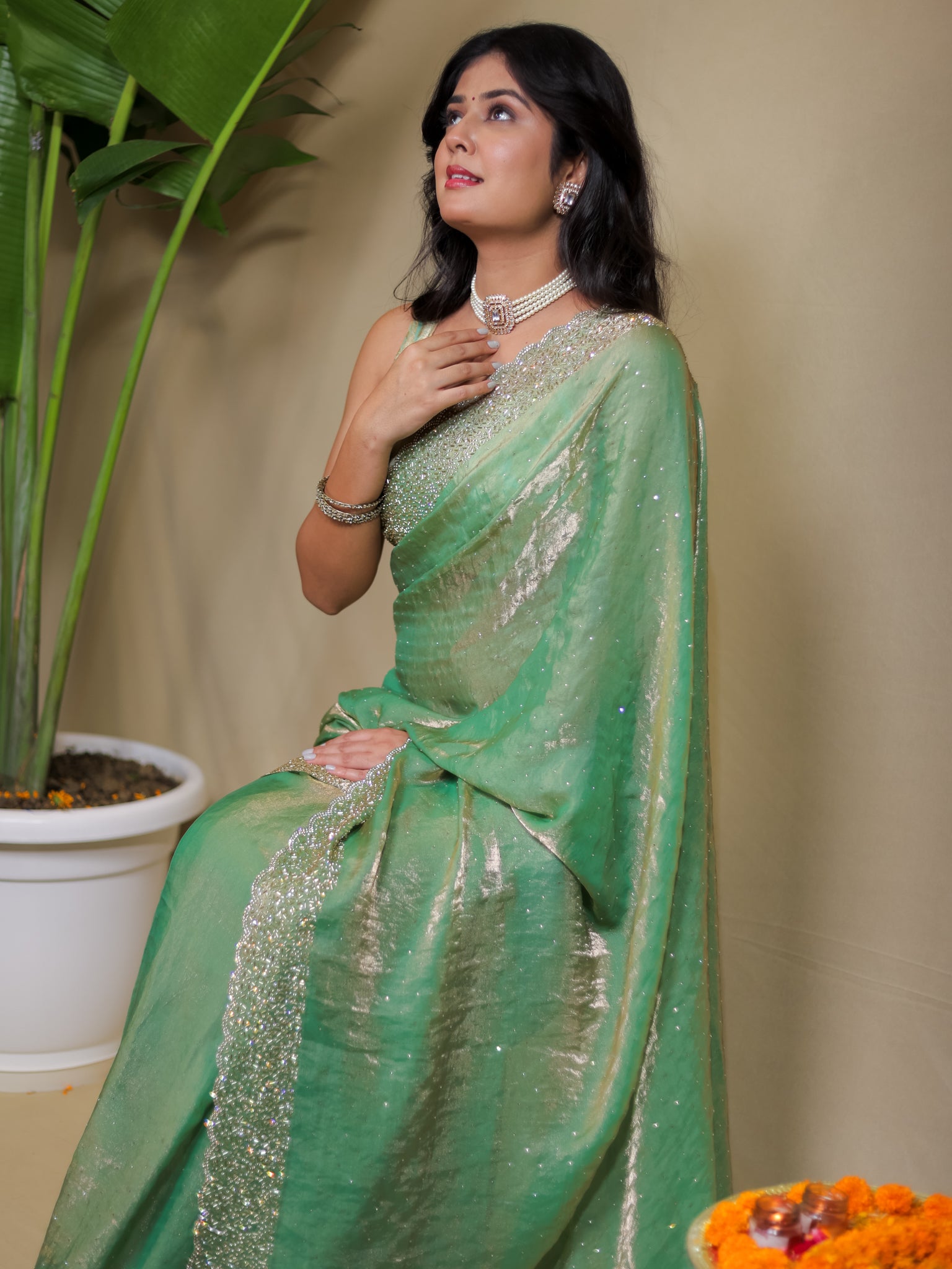 Tissue Sequin Saree - Pastel Green