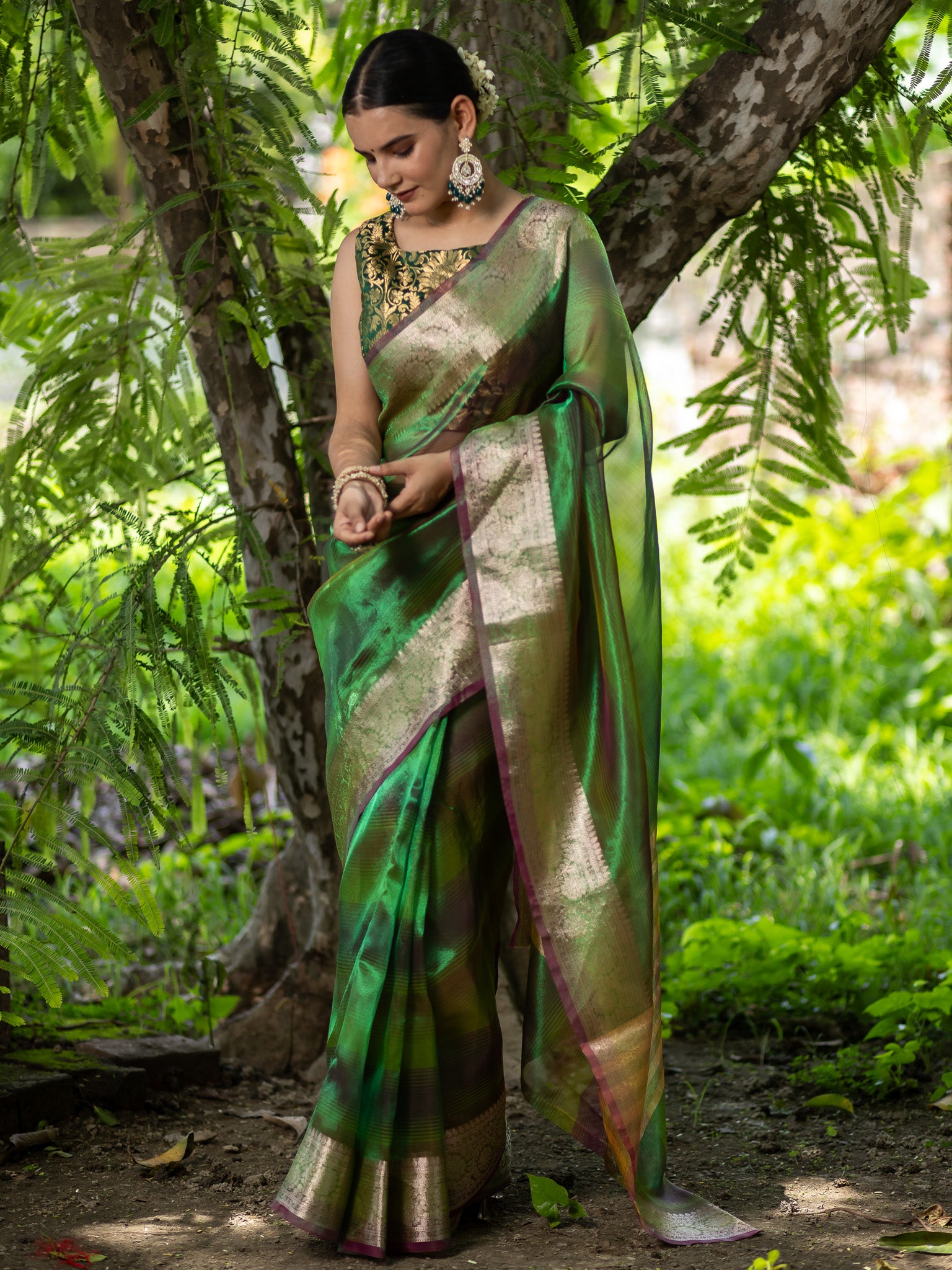 Banarasi Plain Shaded Tissue Saree With Zari Border - Green