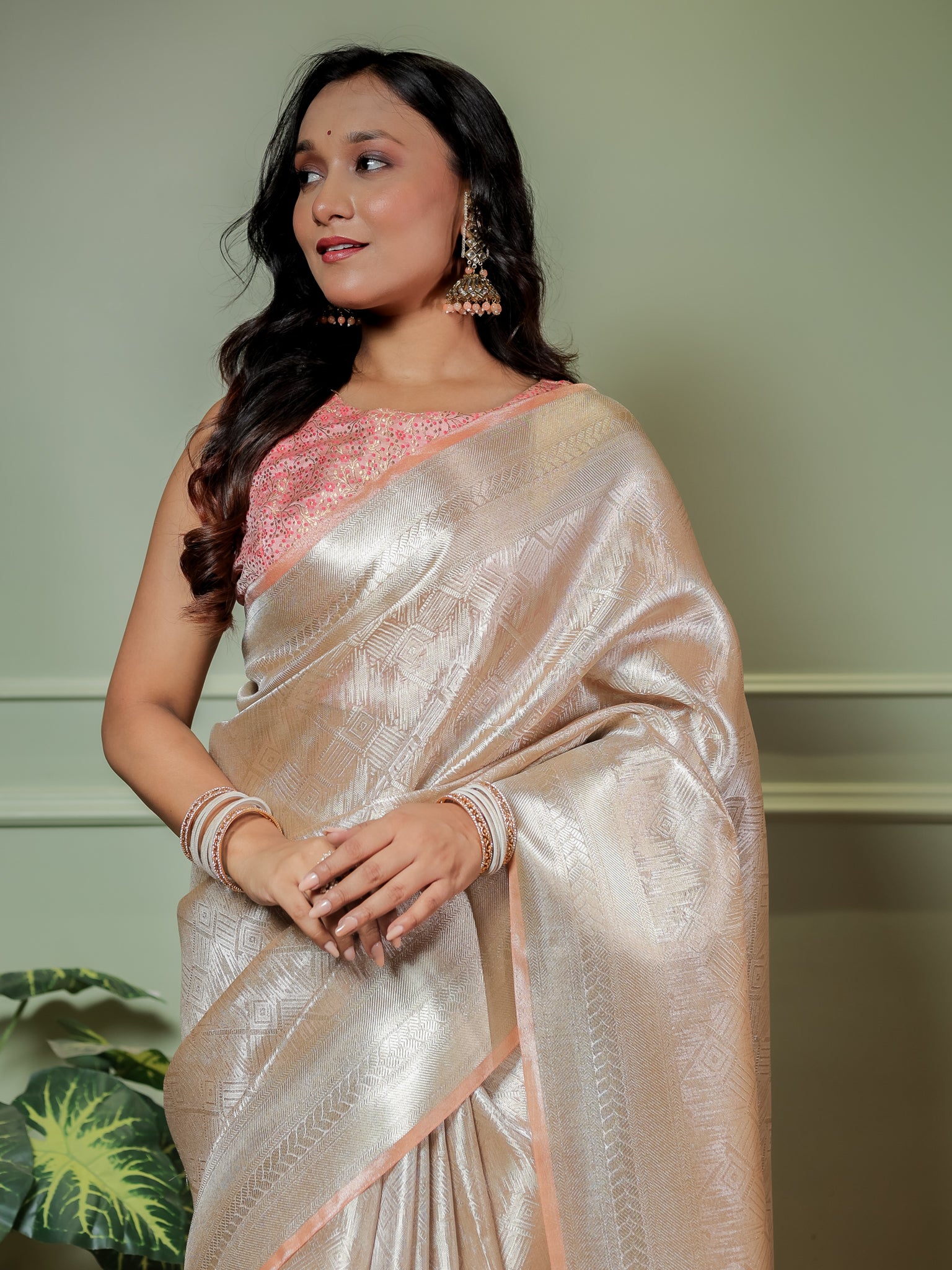 Banarasi Tissue Saree With Weaving & Border- Silver