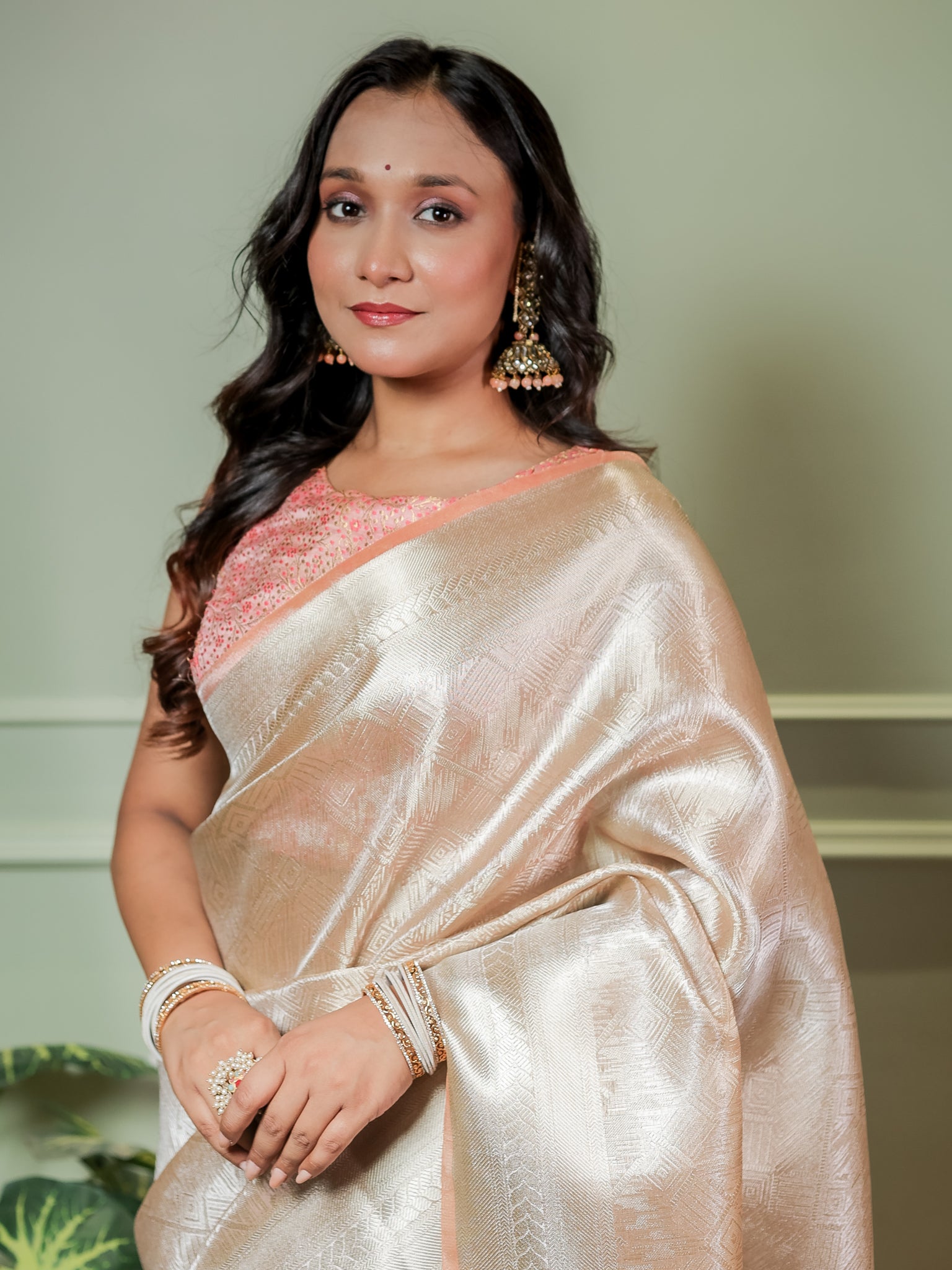 Banarasi Tissue Saree With Weaving & Border- Silver
