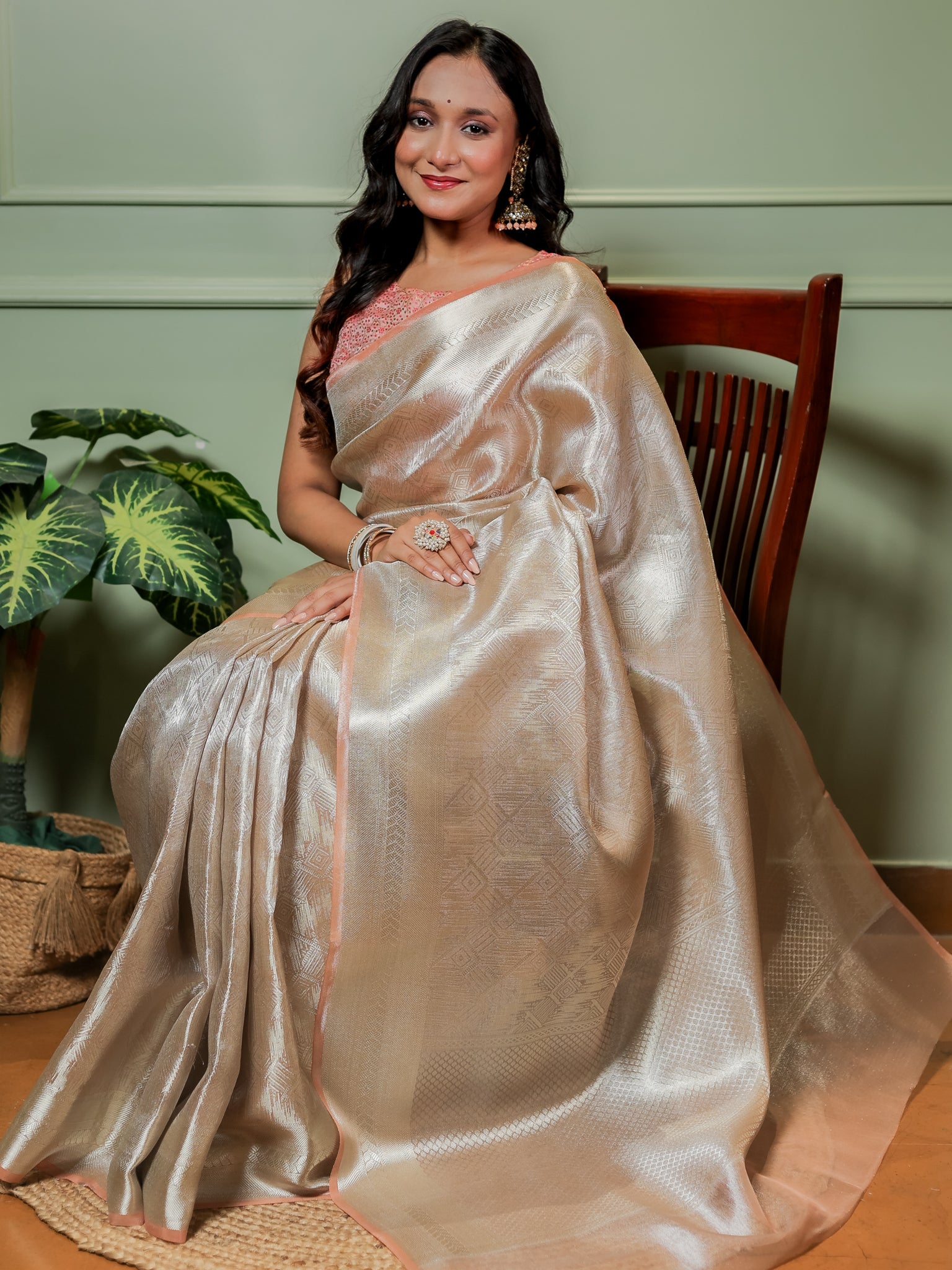 Banarasi Tissue Saree With Weaving & Border- Silver