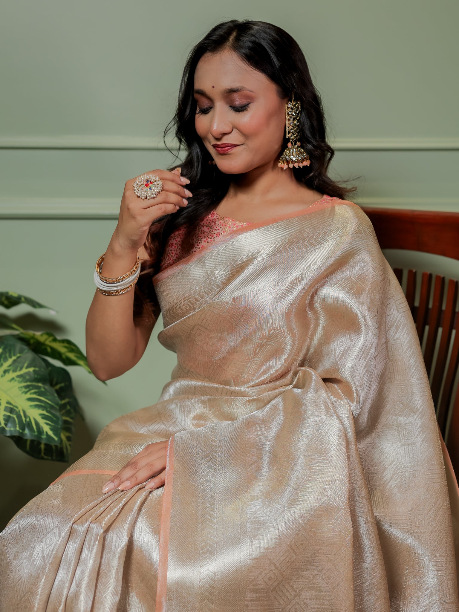 Banarasi Tissue Saree With Weaving & Border- Silver