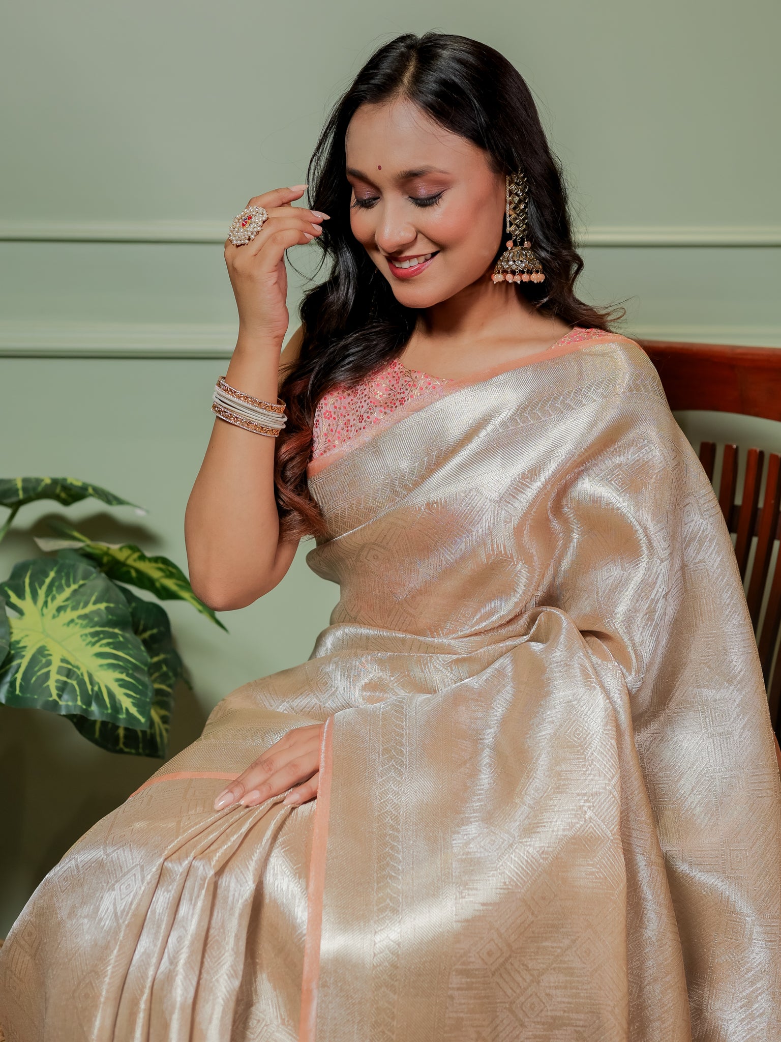 Banarasi Tissue Saree With Weaving & Border- Silver