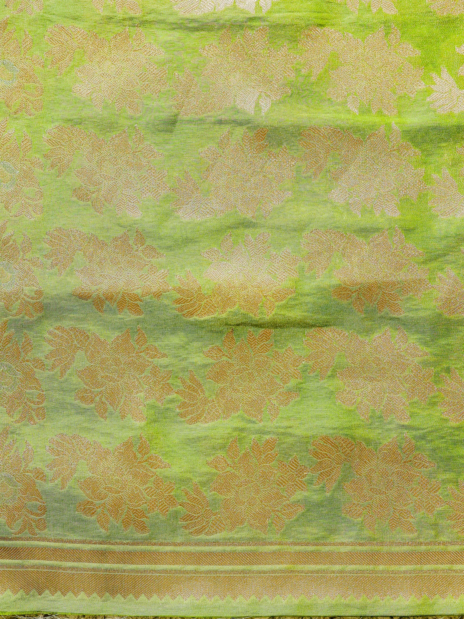 Banarasi Dual Tone Tissue Saree With Border - Green