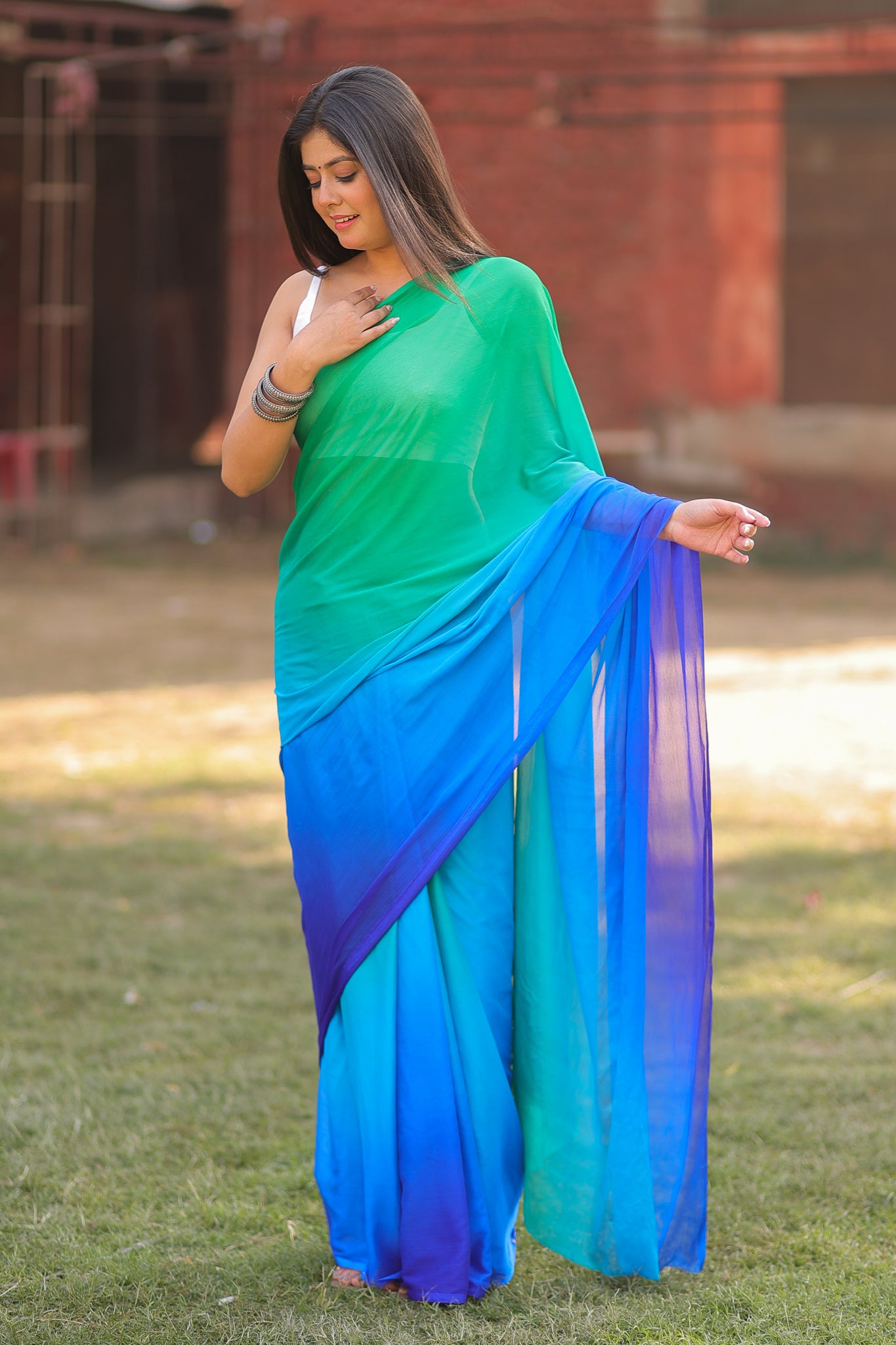 Shaded Chiffon Saree - Blue