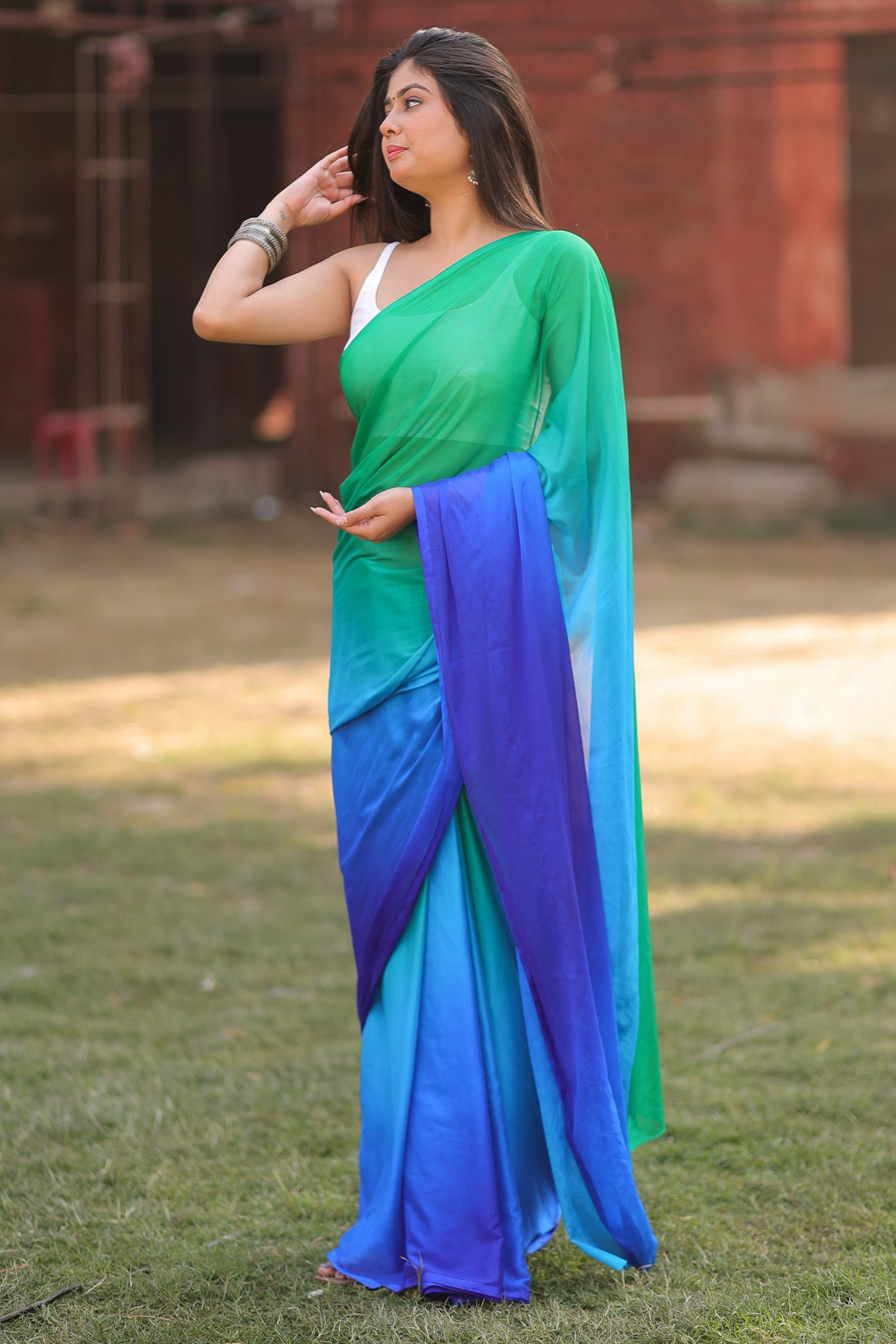 Shaded Chiffon Saree - Blue
