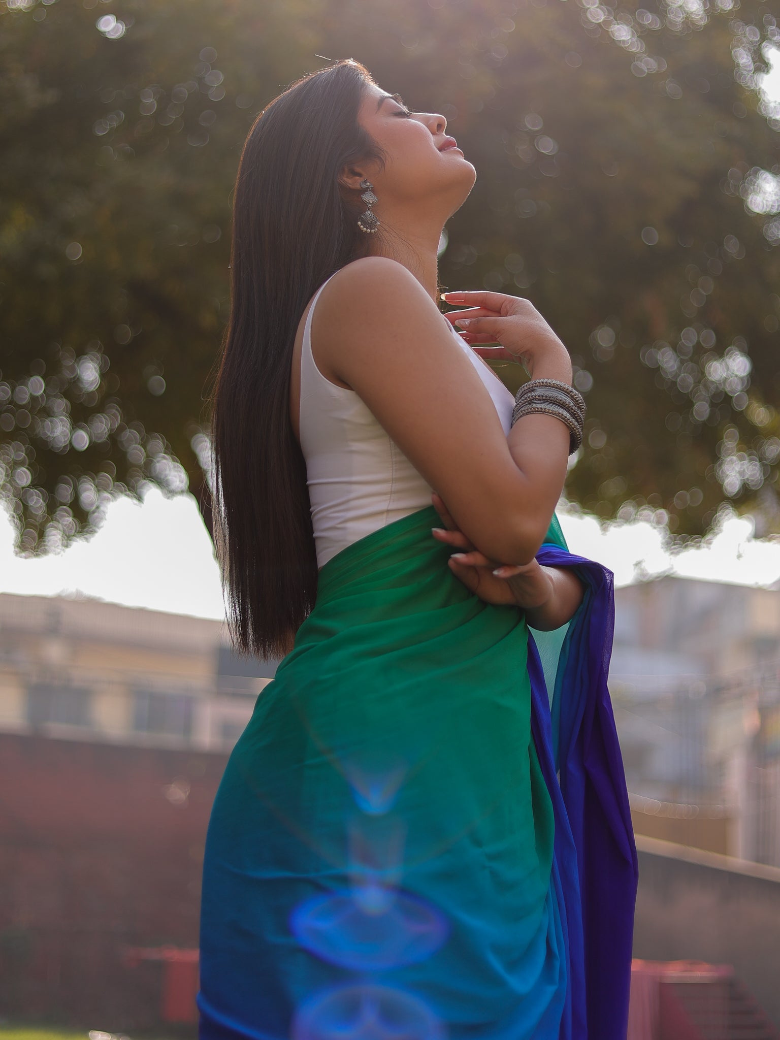 Shaded Chiffon Saree - Blue