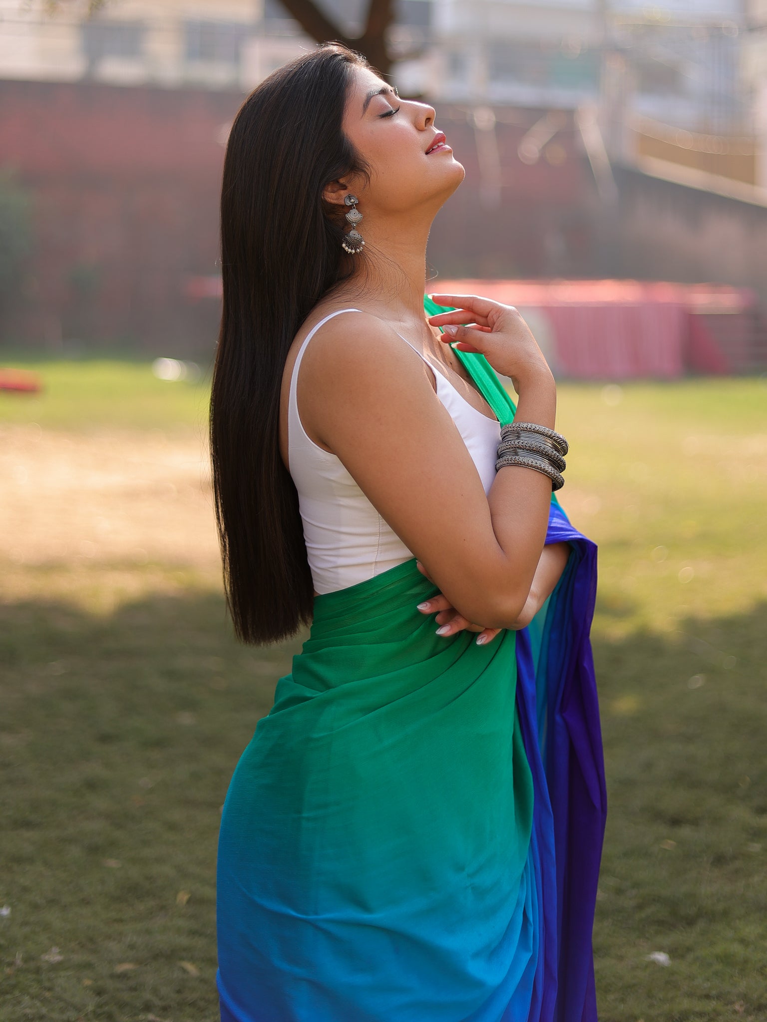 Shaded Chiffon Saree - Blue