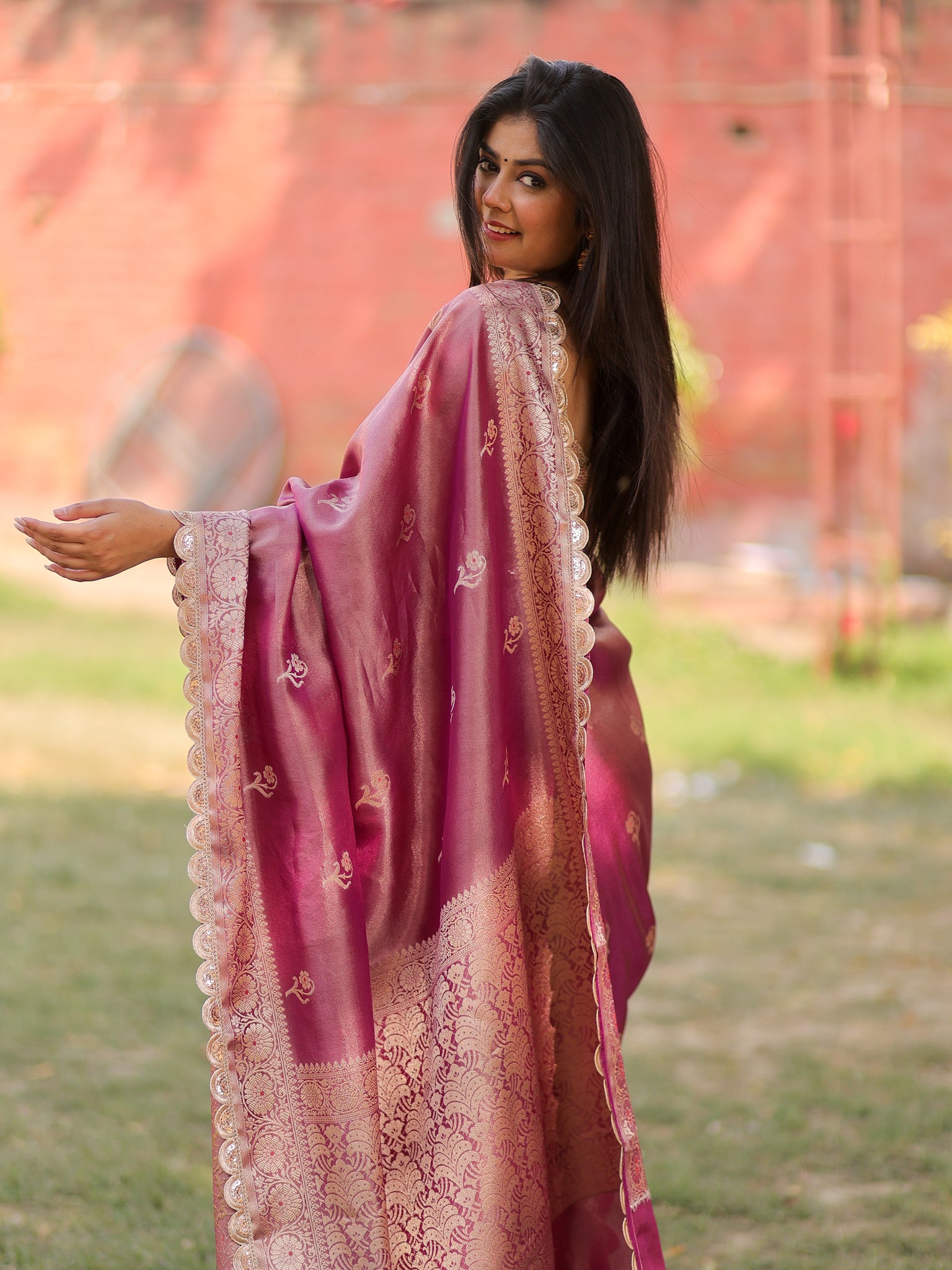 Banarasi Tissue Saree With Zari Weaving & Lace Border- Mauve
