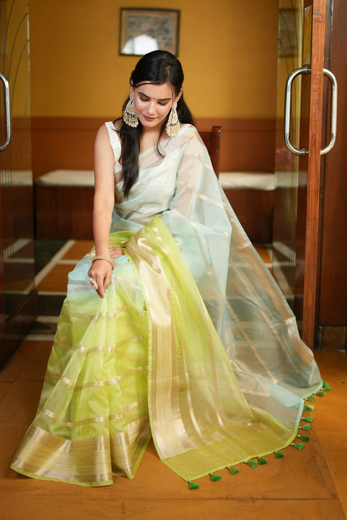 Banarasi Shaded Organza Saree With Zari Weaving-Blue & Green