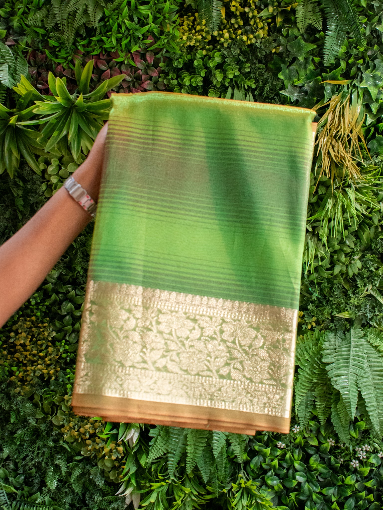 Banarasi Plain Shaded Tissue Saree With Zari Border - Green