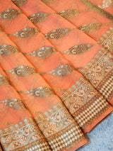 Banarasi Pure Georgette Saree With Resham Weaving-Orange