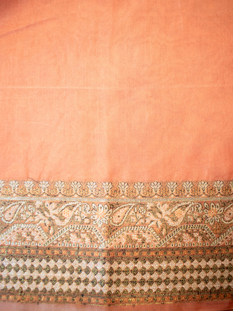 Banarasi Pure Georgette Saree With Resham Weaving-Orange