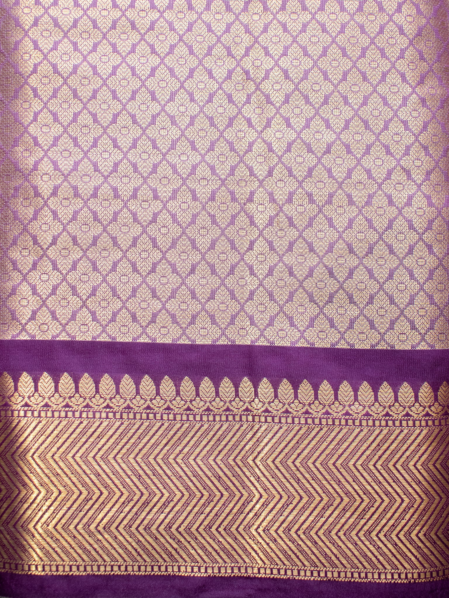 Banarasi Tissue Saree with Zari Weaving & Contrast Border With Lace- Beige