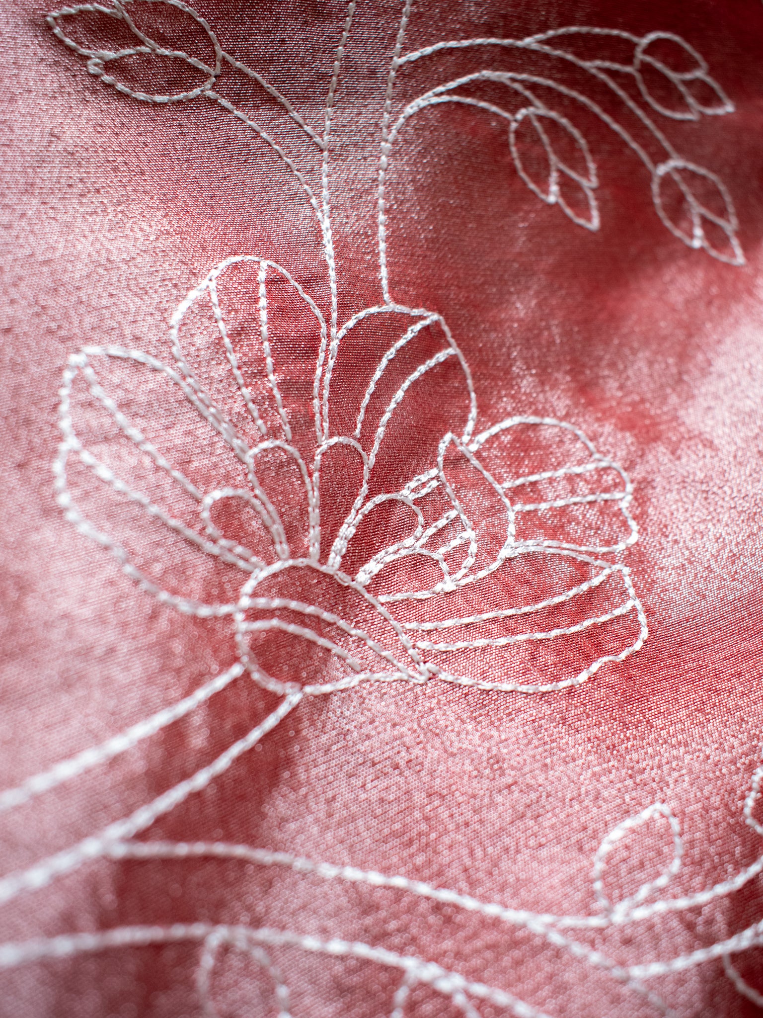 Banarasi Tissue Embroidered Saree With Weaving & Lace Border- Red