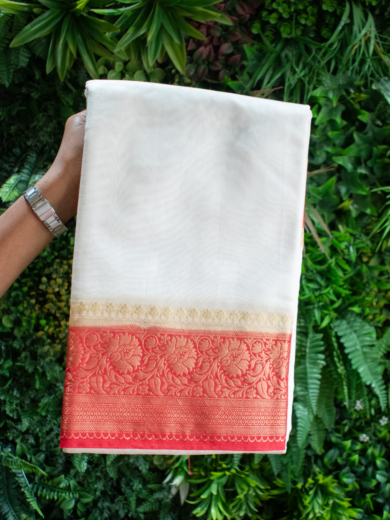 Banarasi Plain Cotton Silk Saree With Contrast Border-White & Red
