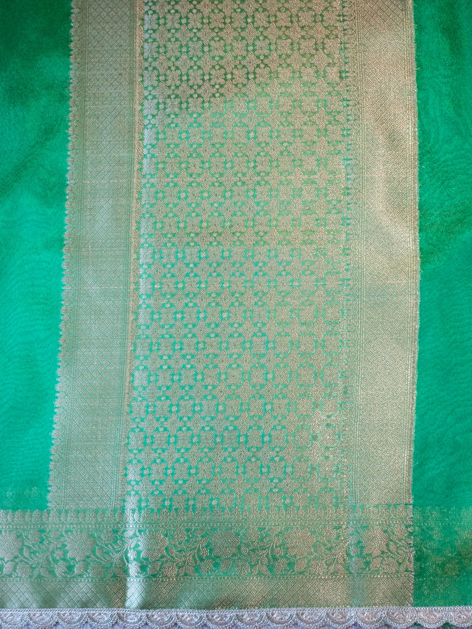 Banarasi Plain Tissue Saree With Lace Border - Green