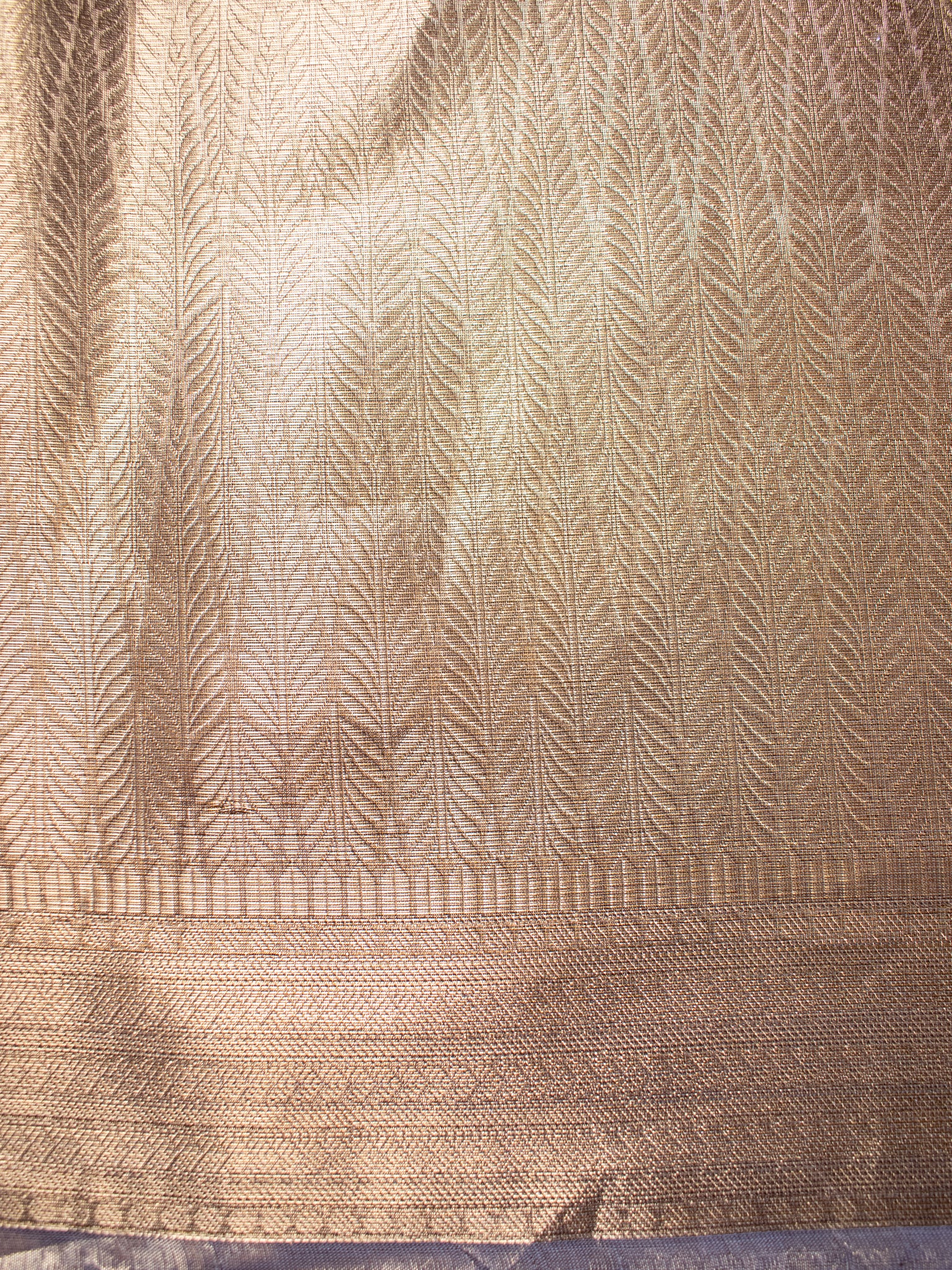 Gold Zari Tanchoi Banarasi Semi Silk Saree with Lace Border