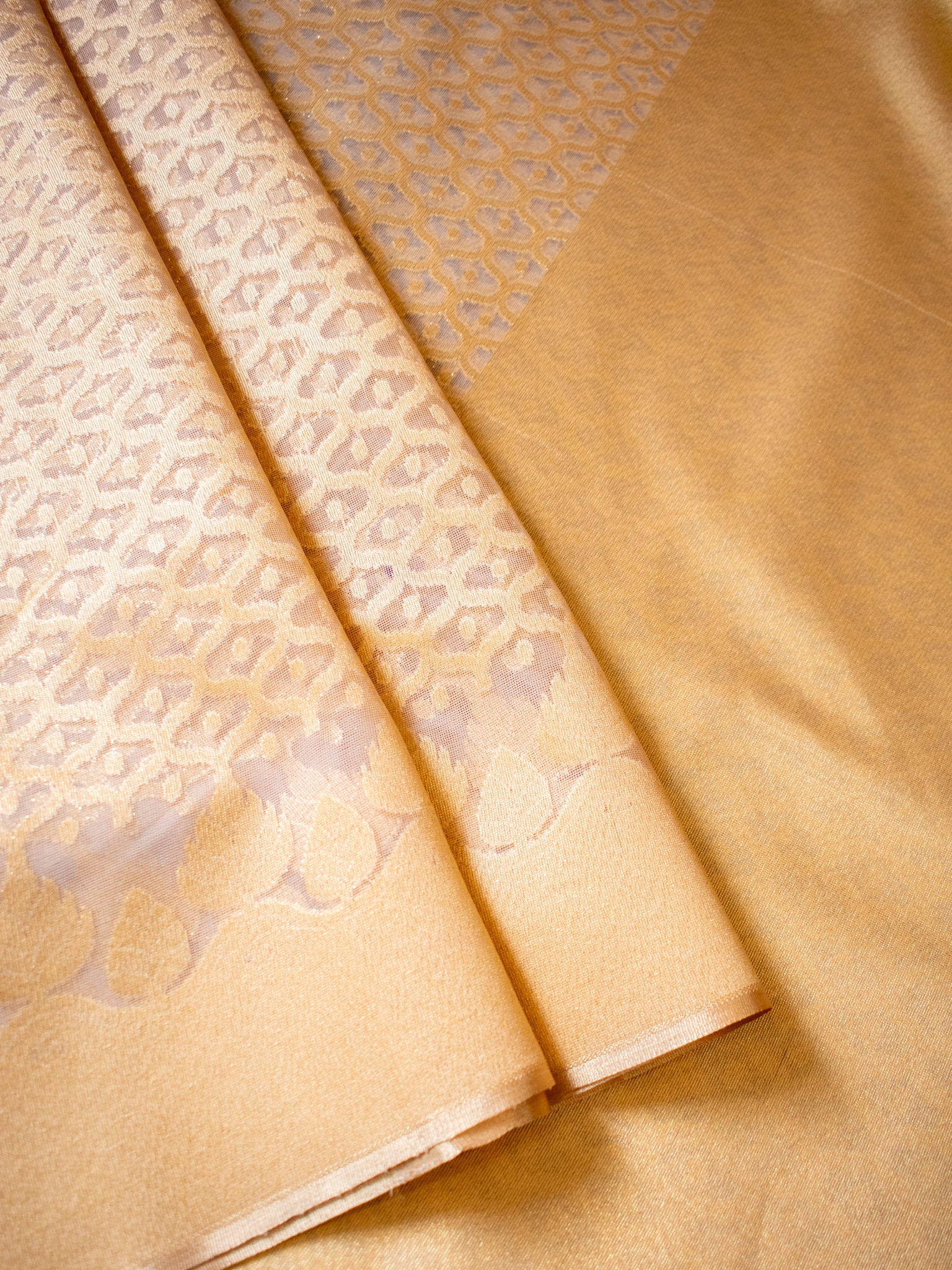 Banarasi Tissue Saree With Border - Golden