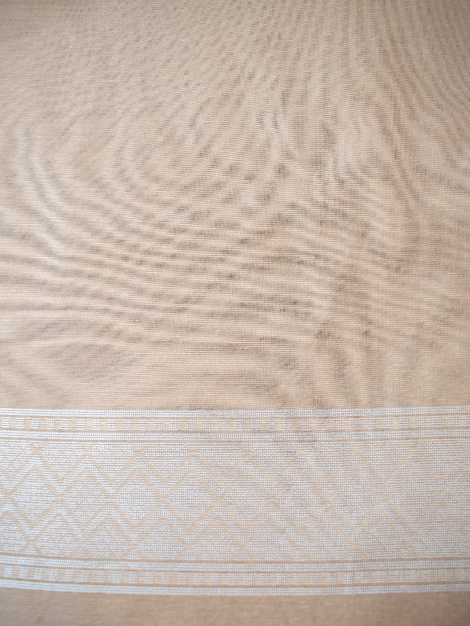 Banarasi Soft Cotton Saree With Resham Work and Border - Beige