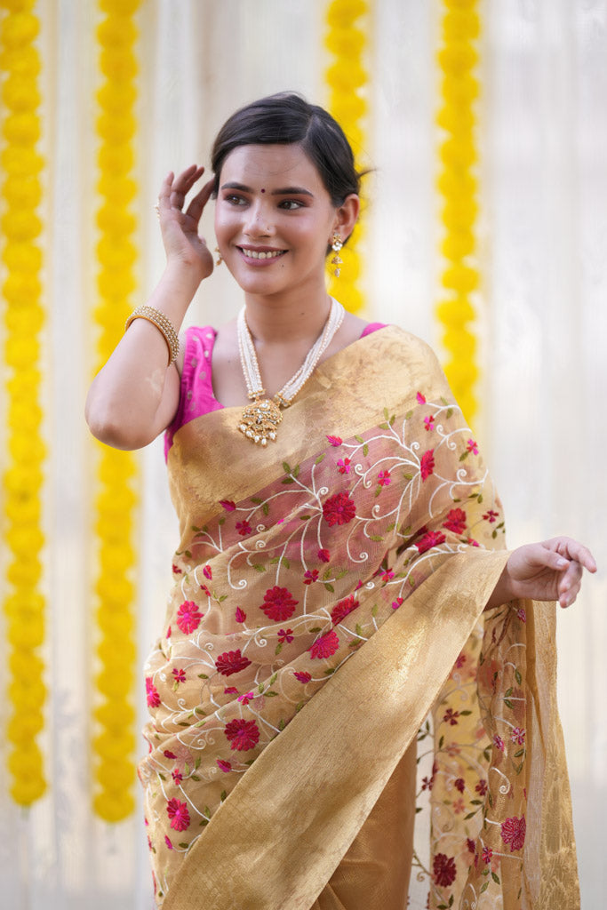 Banarasi Soft Tissue Saree With Jaal Embroidery Zari Weaving Border -Beige