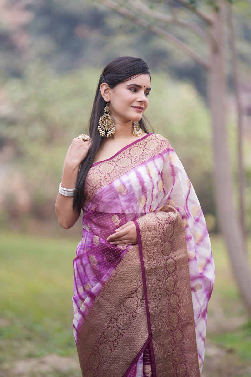 Banarasi Shibori Dyed Super Net Saree With Buti & Zari Border - Purple