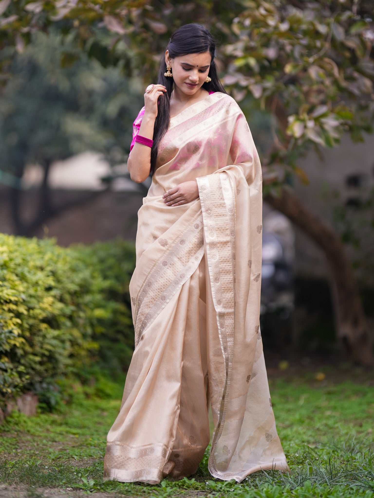 Banarasi Tissue Saree With Zari Border - Gold