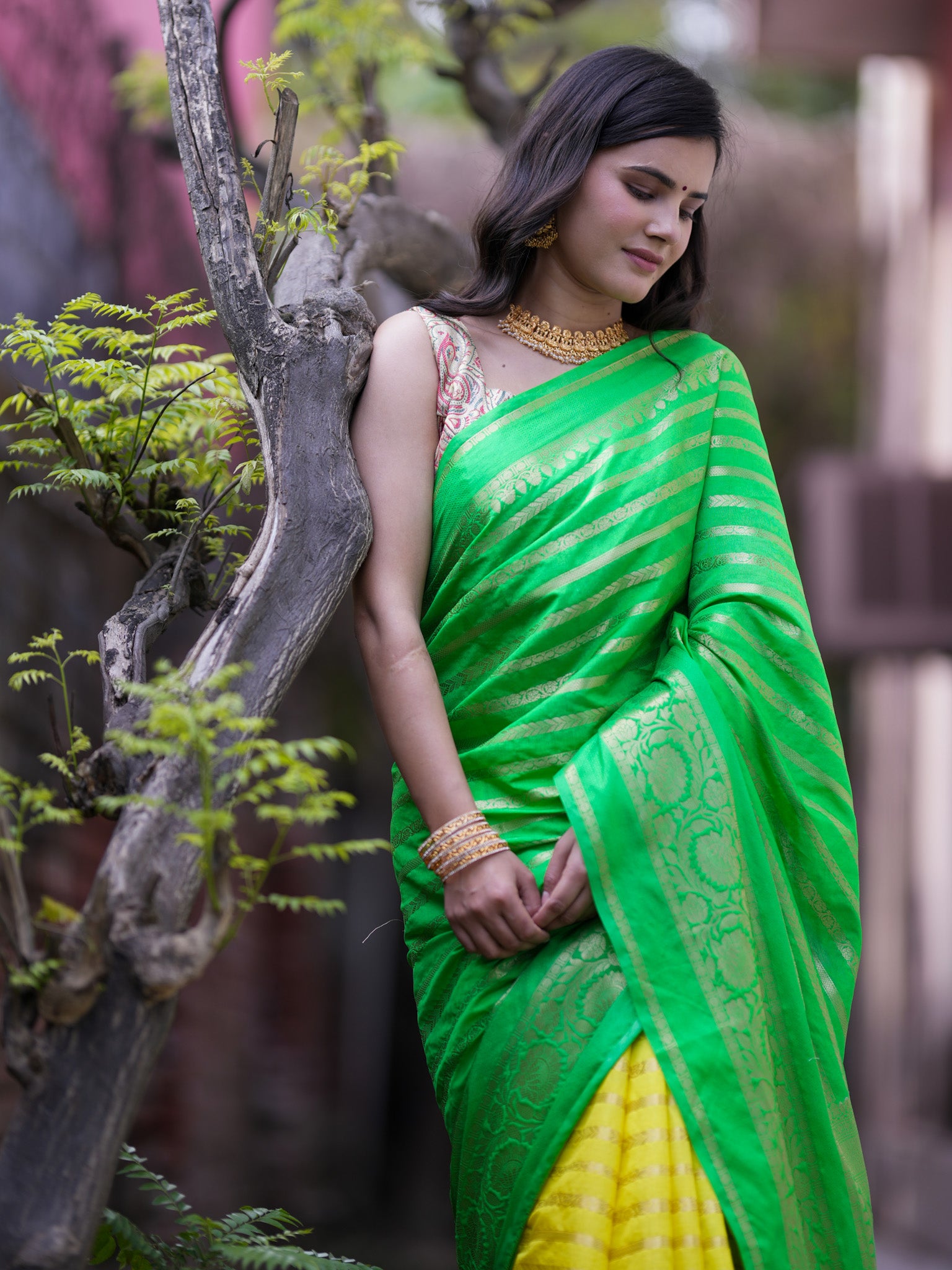 Banarasi Cotton Silk Dual Shade Saree With Zari Weaving & Border - Green & Yellow