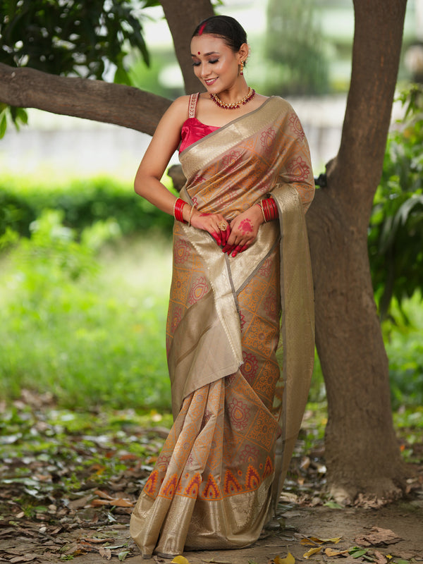 Banarasi Bandhani Organza Saree With Border - Grey